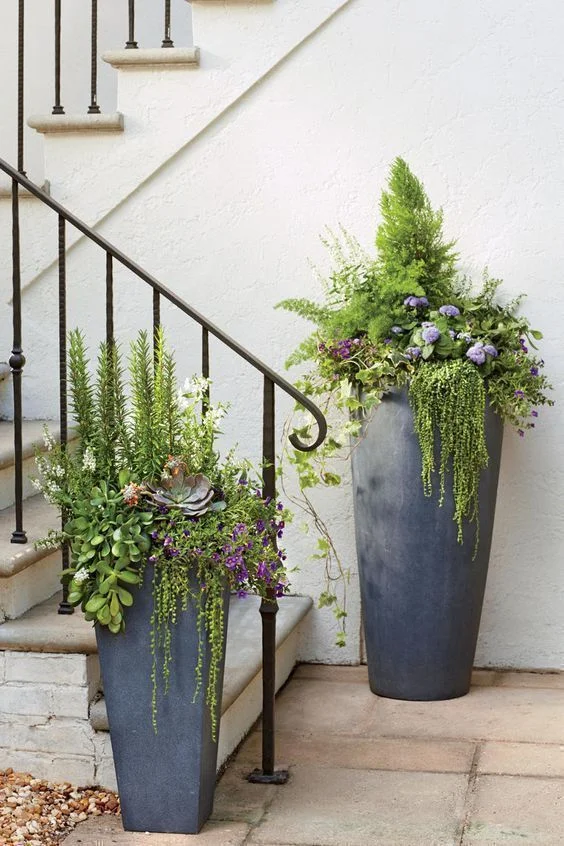 image via Planters Guy 