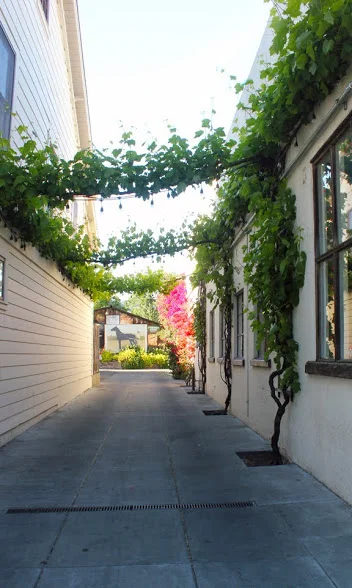 Alley1.jpg