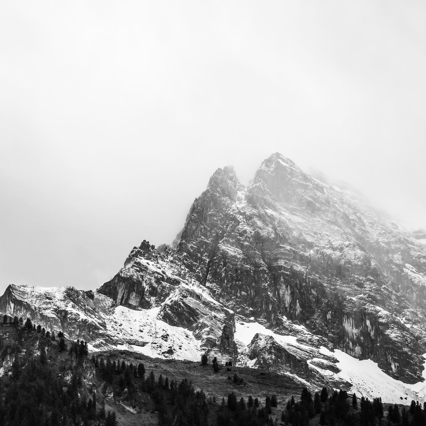 New year, new adventures, stay tuned for more of the story behind Dissident Supply Co.