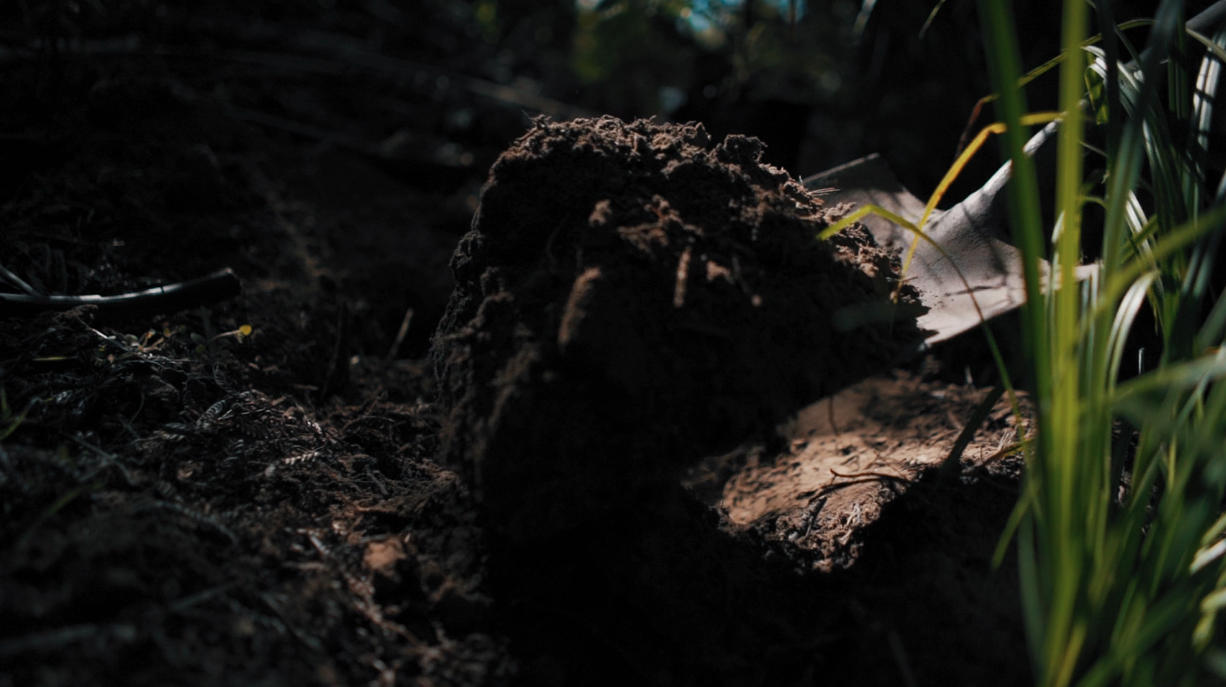 66384_Person shovelling dirt to the side _By_Brandon_Li_Artlist_HD_STILL.png
