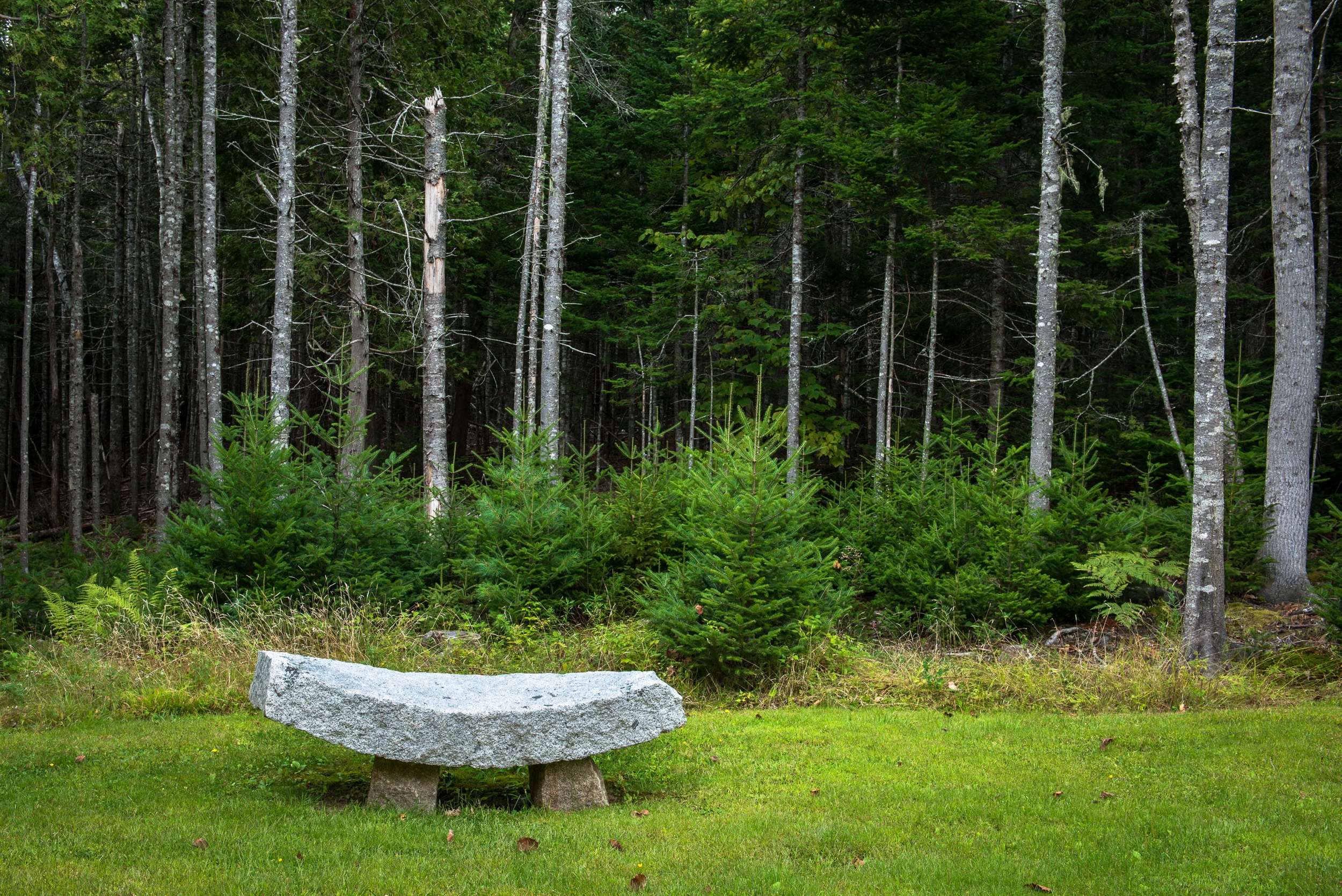  A quiet resting place on the front lawn. 