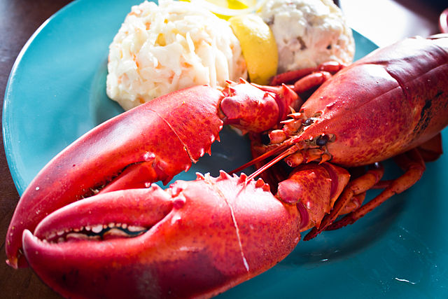 640px-Lobster_Dinner_(6013079655).jpg