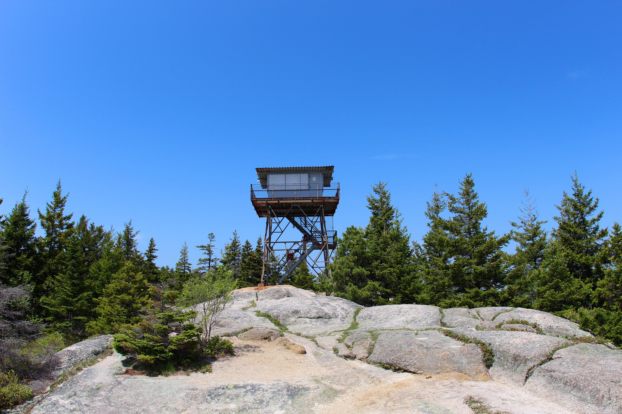  The fire tower that sits on the summit of Beech Mountain, just 3 miles away. 