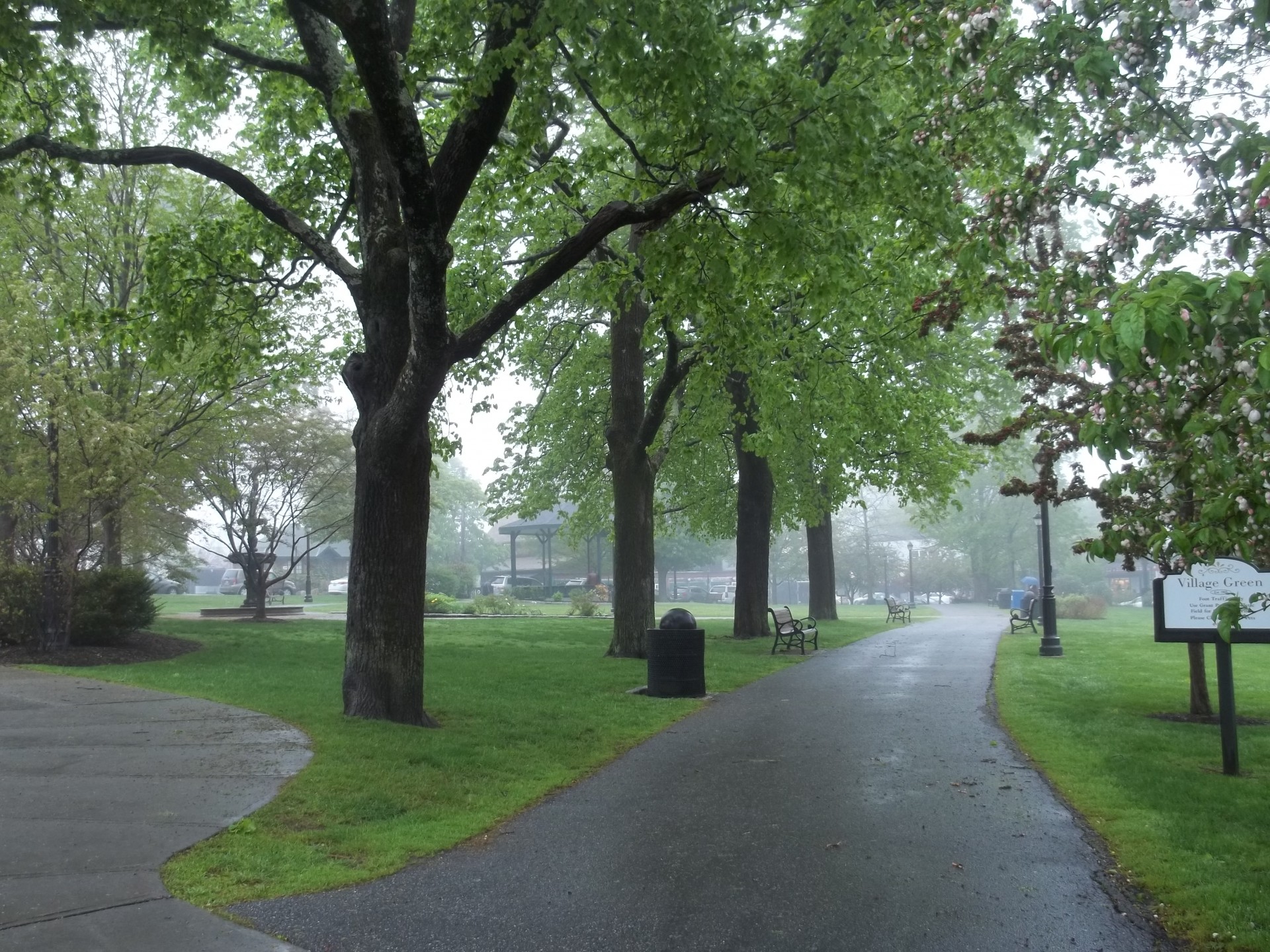  Bar Harbor's Village Green offers stunning views in the early morning mist. 