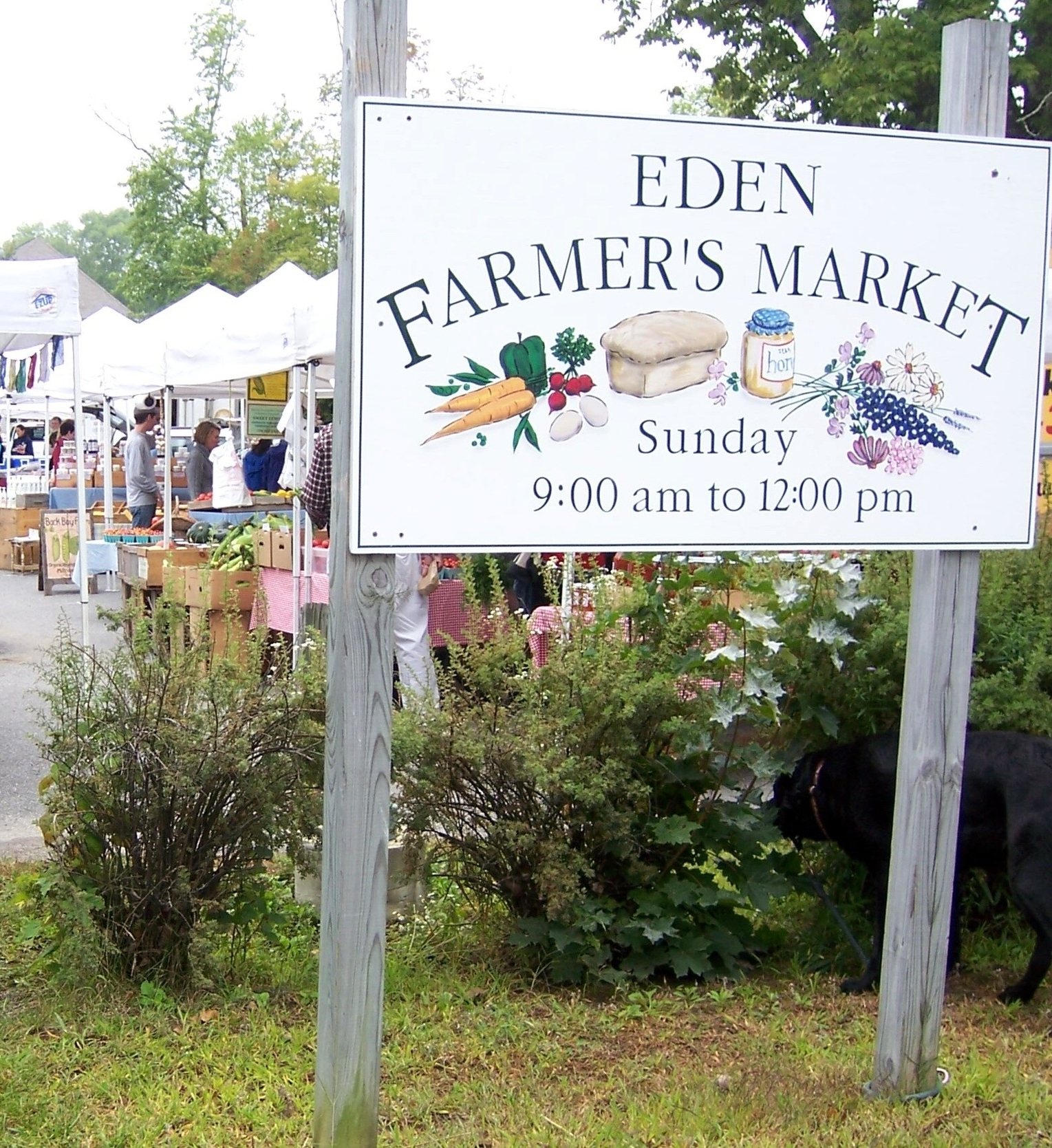 Eden Farmers market.JPG