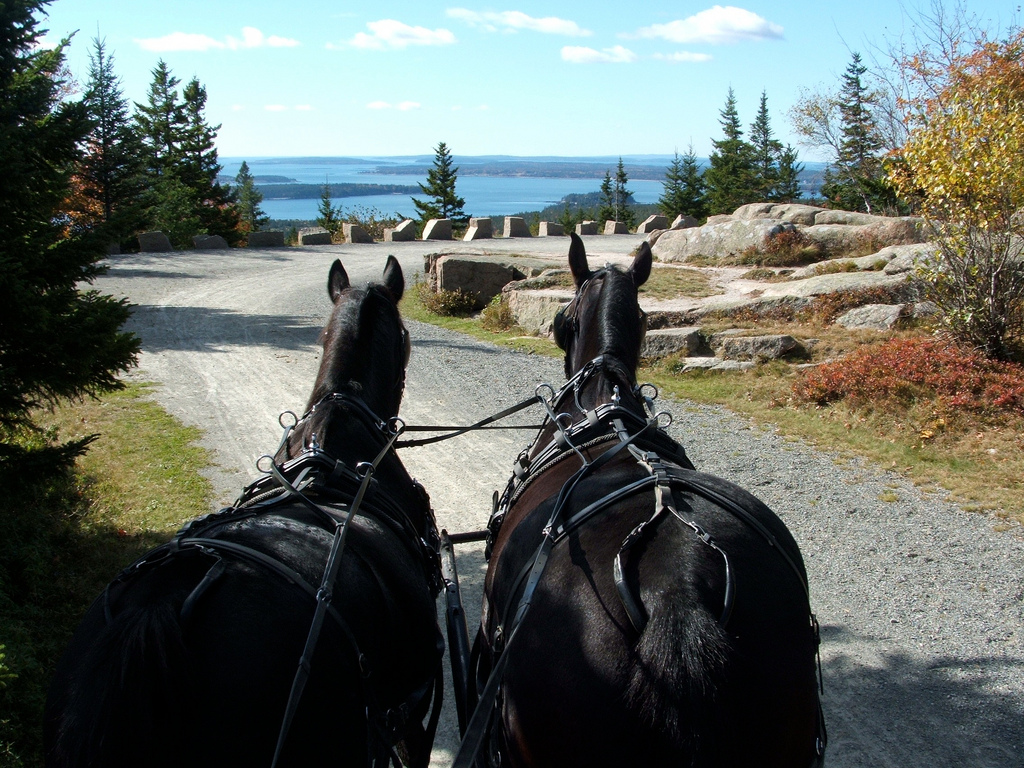  Horse-drawn carriage ride up Day Mountain in Acadia National Park. 