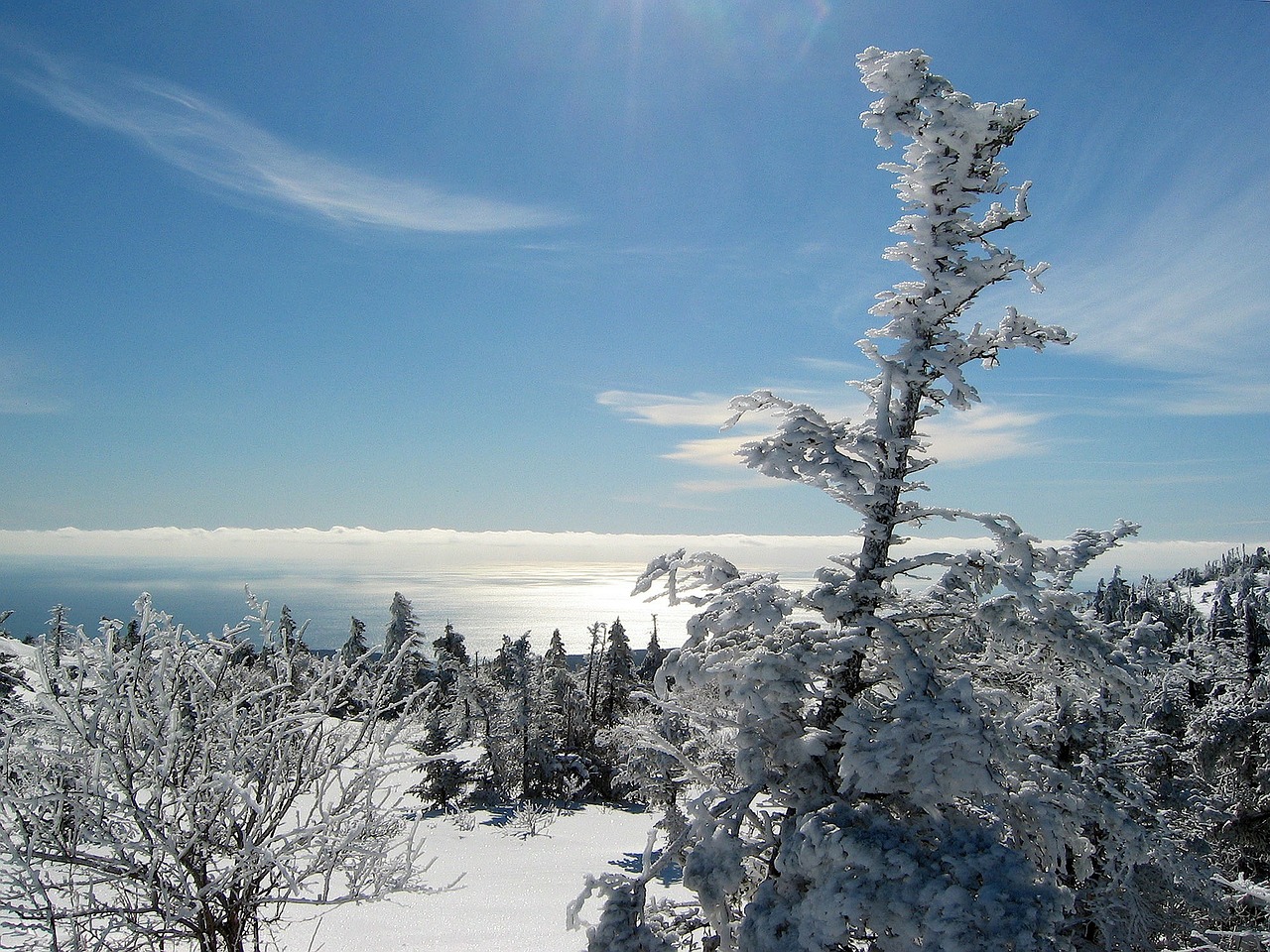  Stunning view of Acadia National Park in the winter season 