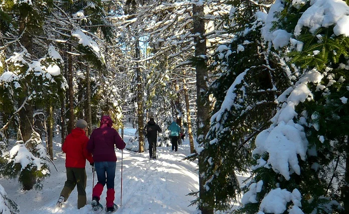 Cross-country skiing in Acadia National Park
