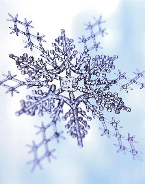 Winter Break 2025/2026 