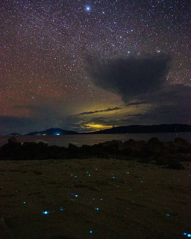 Stars in the sky, stars in the sand ✨ I can't believe there are places on Earth like this... Those bioluminescent plankton would glow in my footprints as I walked across the sand, so of course I stayed up late running and shuffling all over the beach