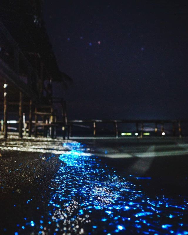 It was one of those nights I'll never forget... ✨(Taken with my favorite lens Sigma 16mm 1.4) #wonderfulindonesia #bioluminescence #rajaampat
.
.
.
.
.
.

#girlswhoexplore #wearetravelgirls #sheadventures #femmetravel #sheisnotlost #dametraveler #gir