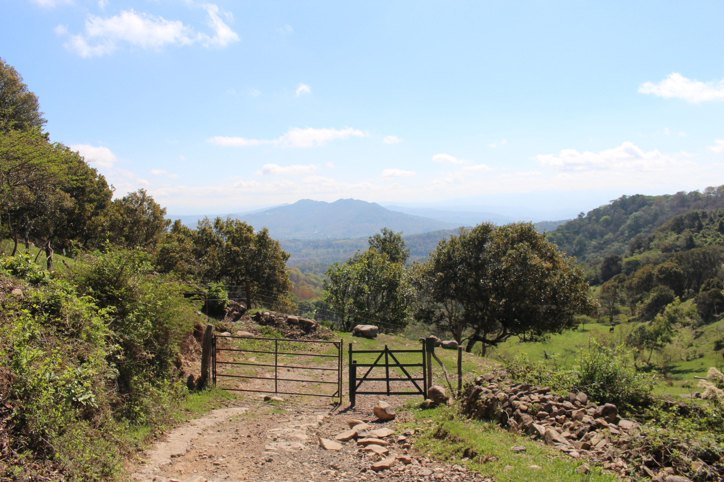 The countryside of northern Nicaragua, on the outskirts of Estelí 