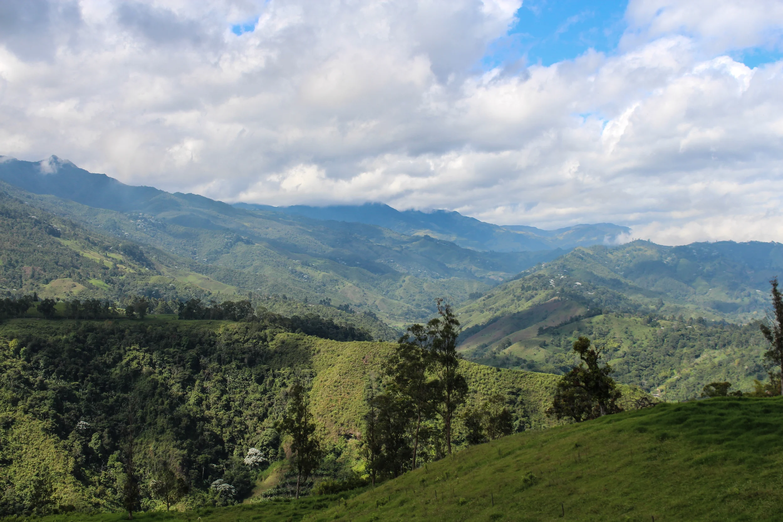 The lively hills around Salento