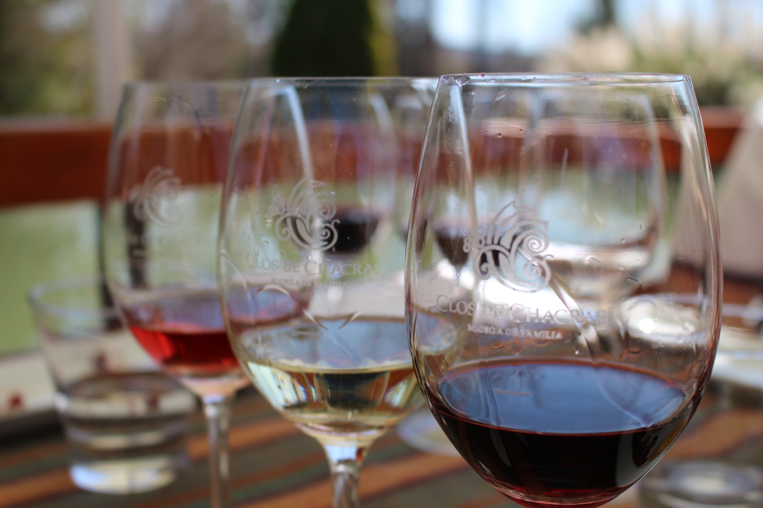 Rose, White and Red at Clos de Chacras Vineyard, Mendoza