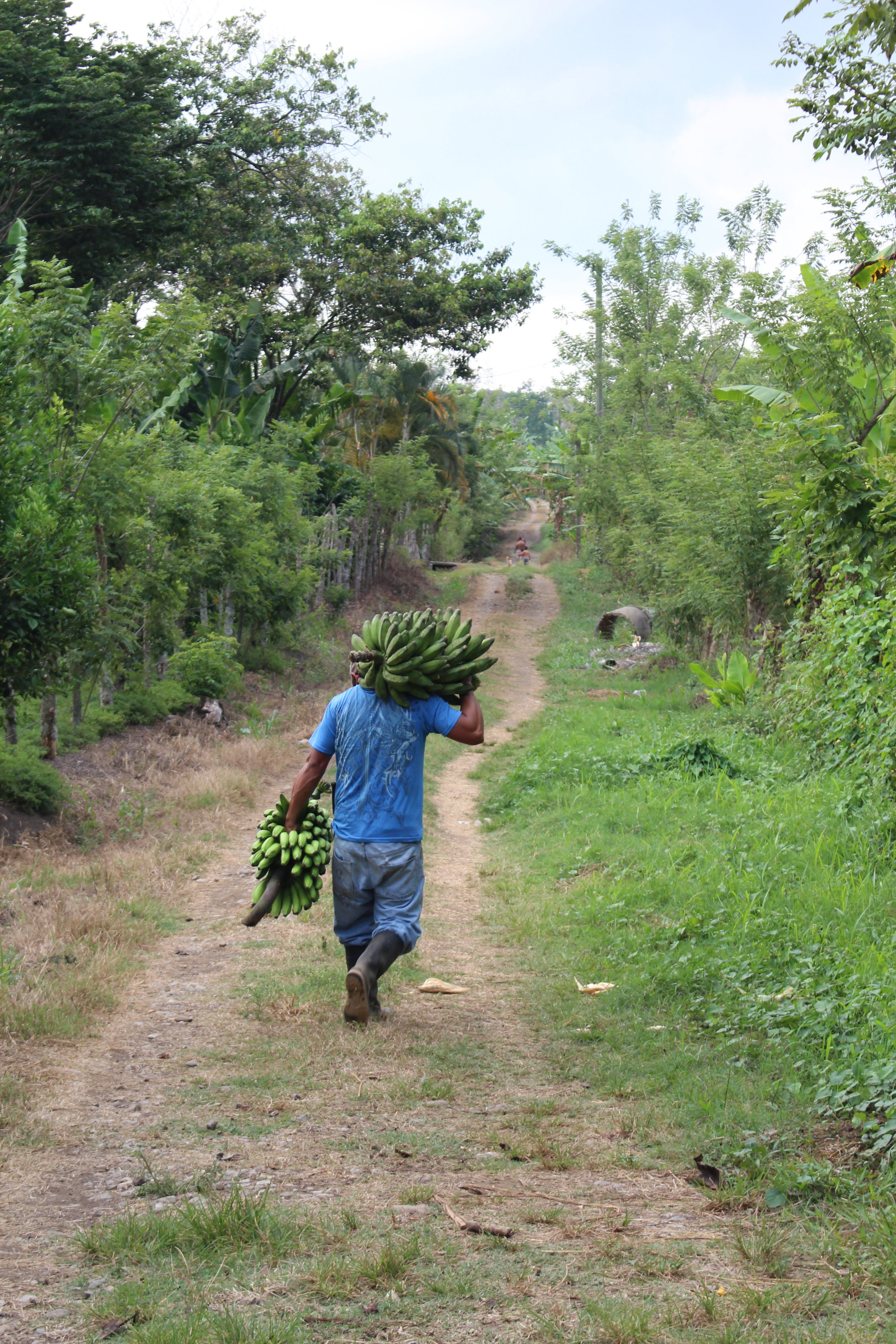 A Honduran banana farmer. 