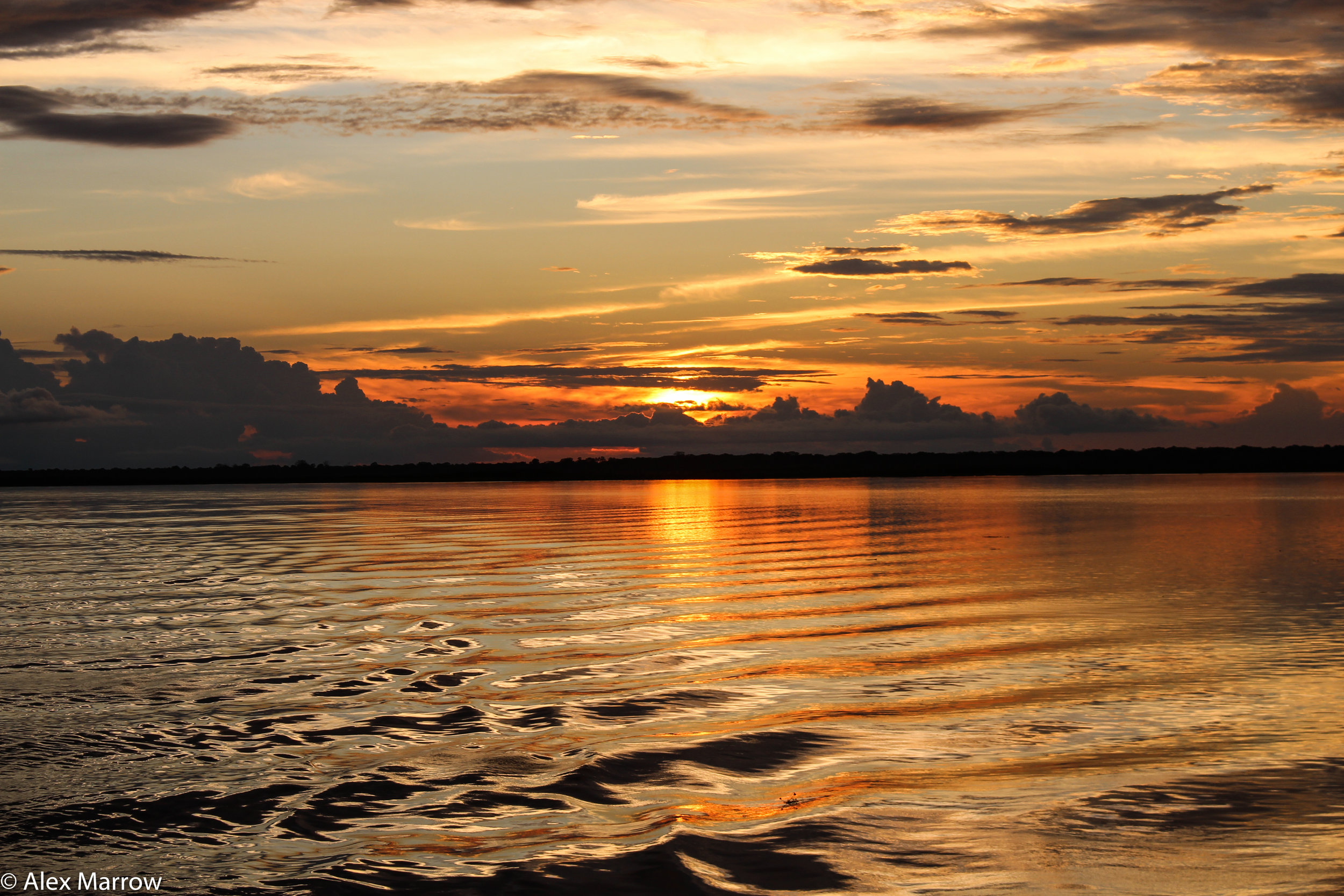 The Amazon, Brazil