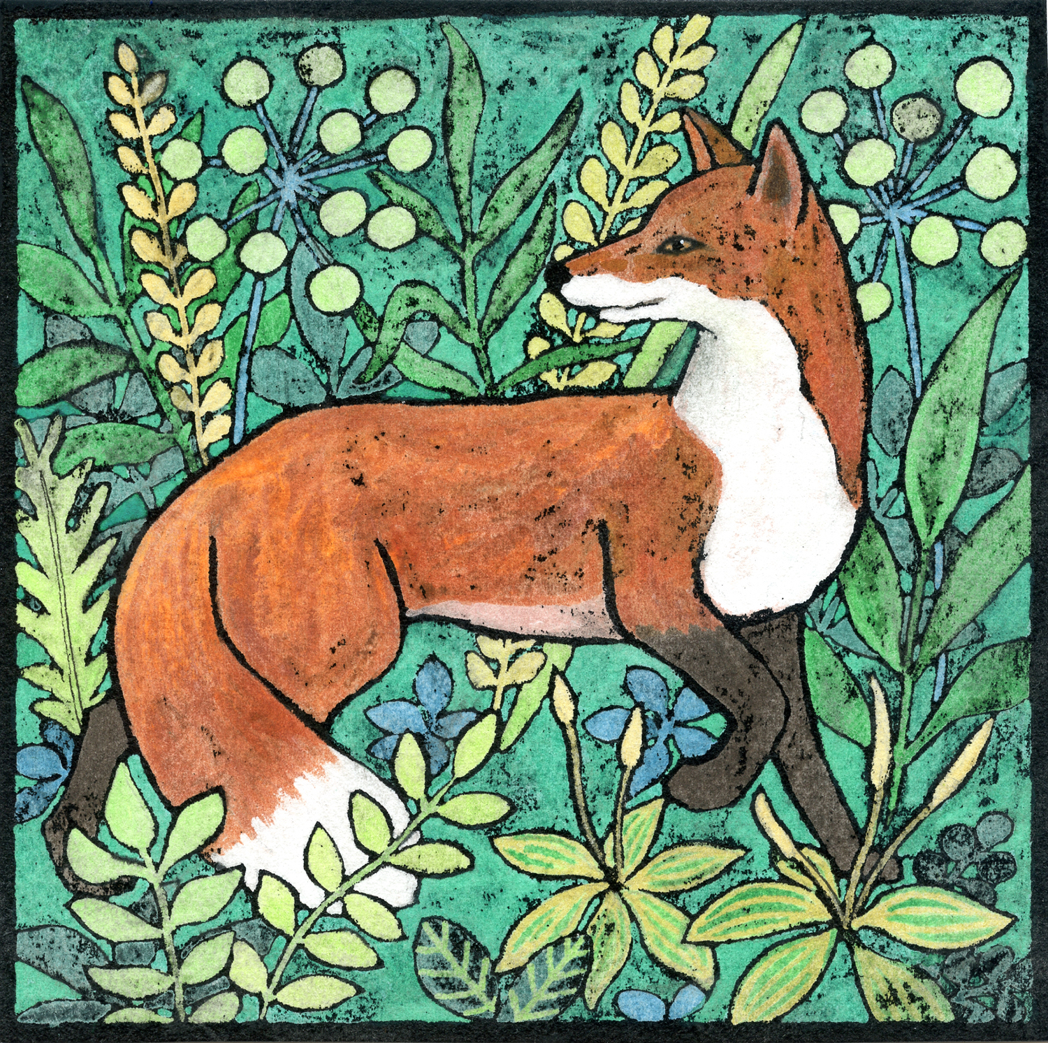 Fox in the Meadow