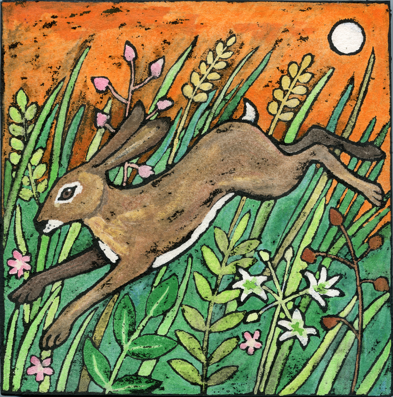 Running Hare