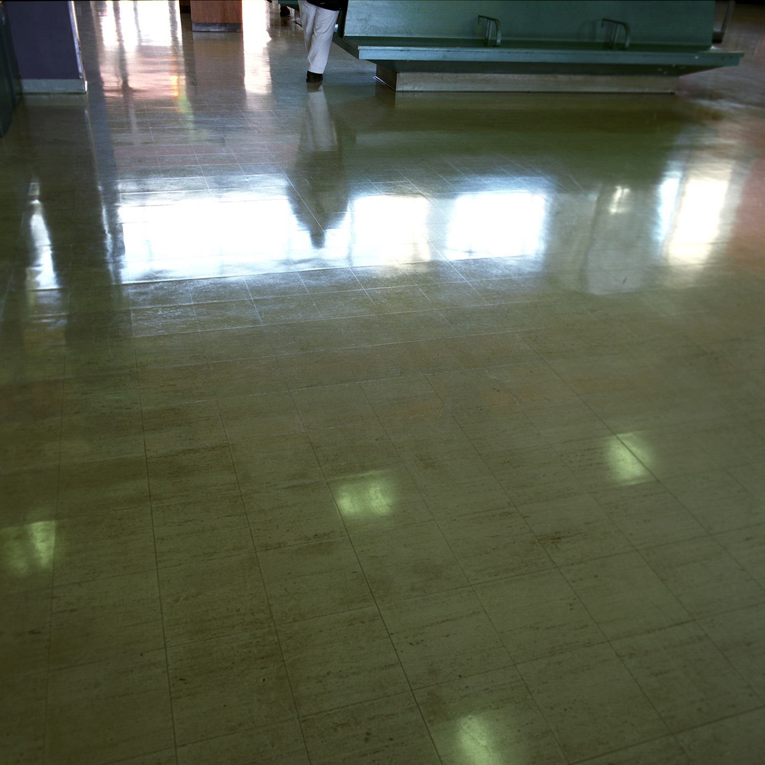 Ferry Terminal Reflections