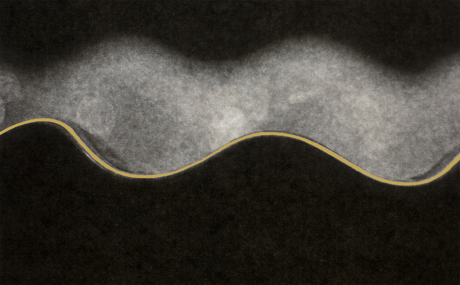 Golden Wave