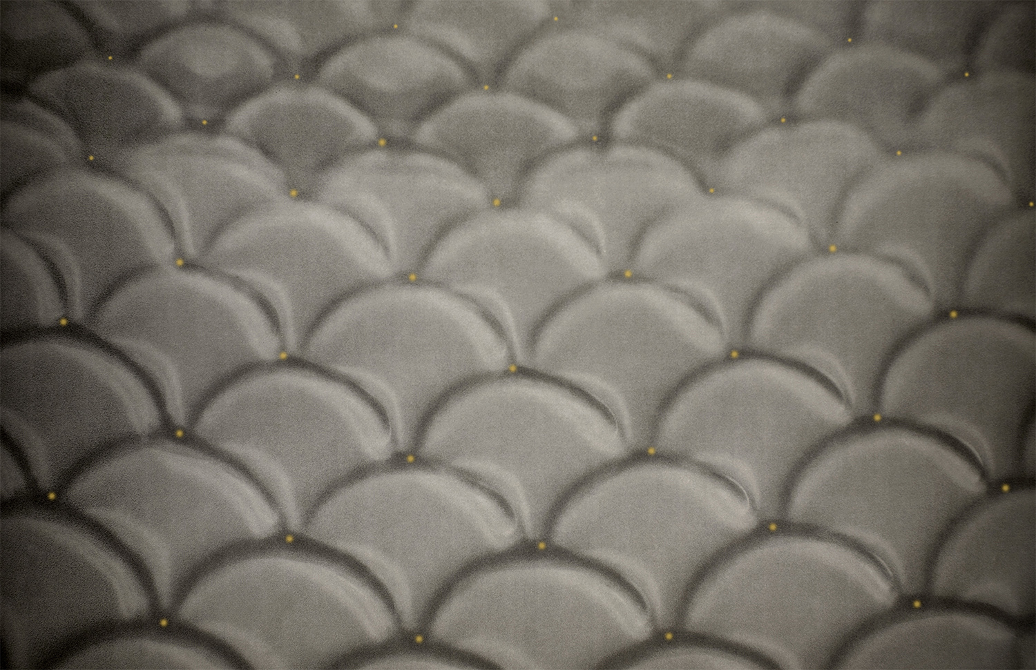 Porcelain Waves