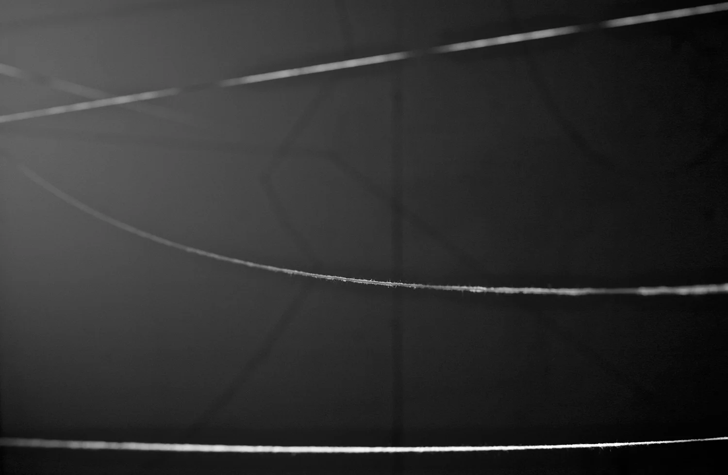 7-©nedelstein_pins.jpg