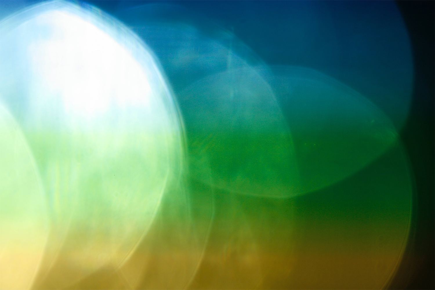 Spectrum Effect - II.jpg