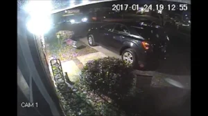 vehicle larceny.jpg