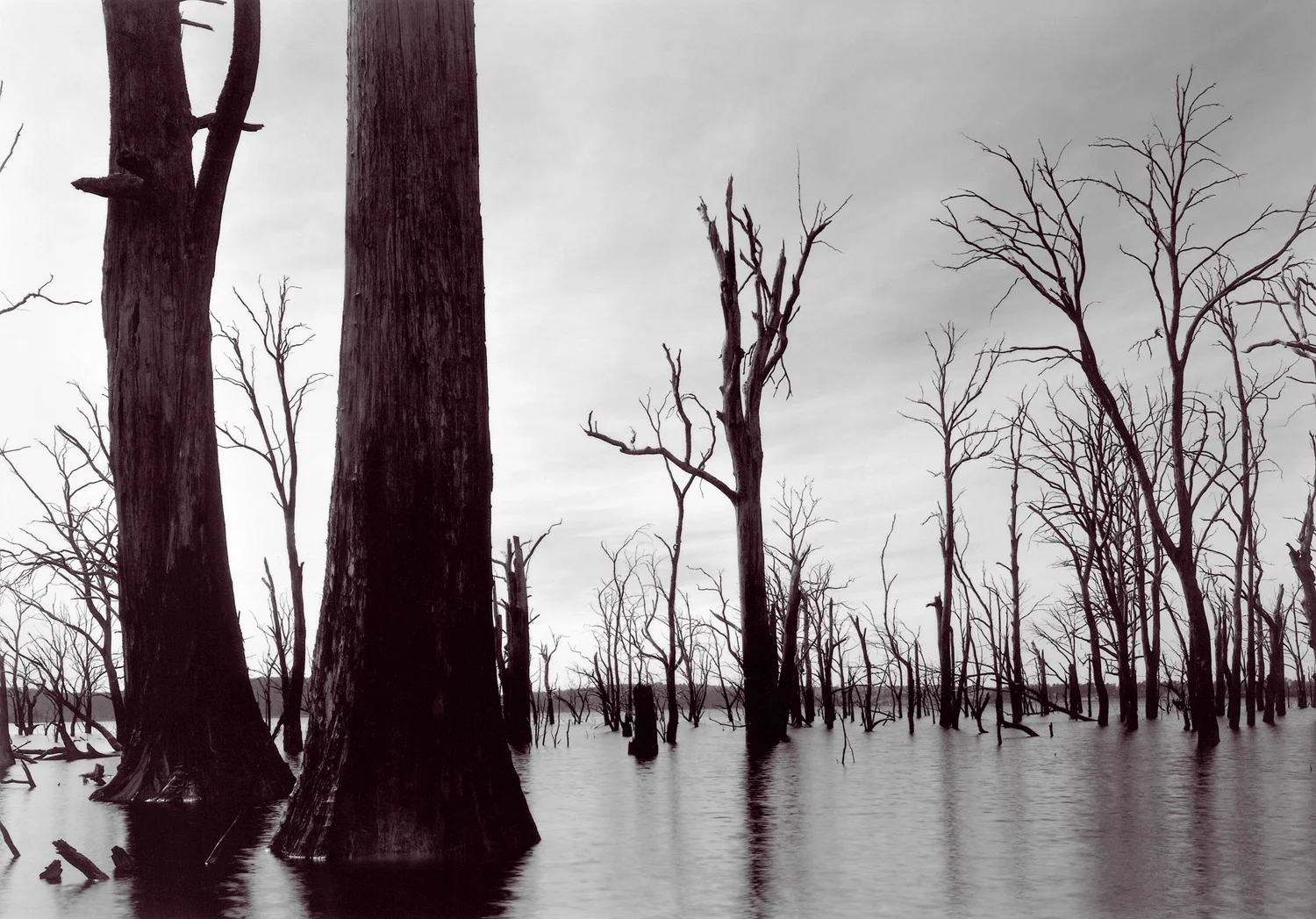     
 0 
 0 
 1 
 5 
 35 
 University of Tasmania 
 1 
 1 
 39 
 14.0 
  
  
 
       
 Normal 
 0 
 
 
 
 
 false 
 false 
 false 
 
 EN-US 
 JA 
 X-NONE 
 
  
  
  
  
  
  
  
  
  
 
 
  
  
  
  
  
  
  
  
  
  
  
       
 
 
 
 
 
 
 
 
 
 
