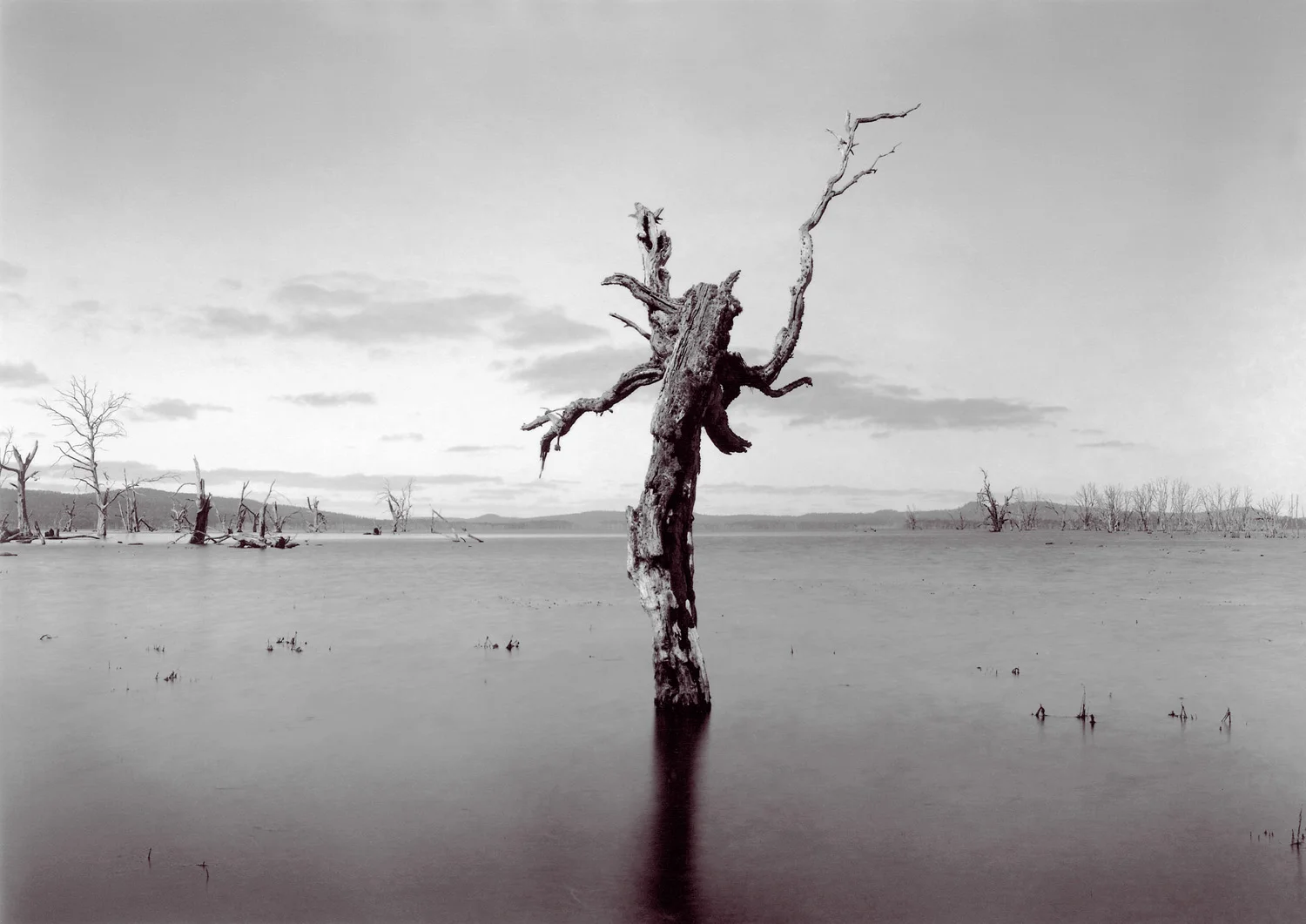     
 0 
 0 
 1 
 6 
 37 
 University of Tasmania 
 1 
 1 
 42 
 14.0 
  
  
 
       
 Normal 
 0 
 
 
 
 
 false 
 false 
 false 
 
 EN-US 
 JA 
 X-NONE 
 
  
  
  
  
  
  
  
  
  
 
 
  
  
  
  
  
  
  
  
  
  
  
       
 
 
 
 
 
 
 
 
 
 
