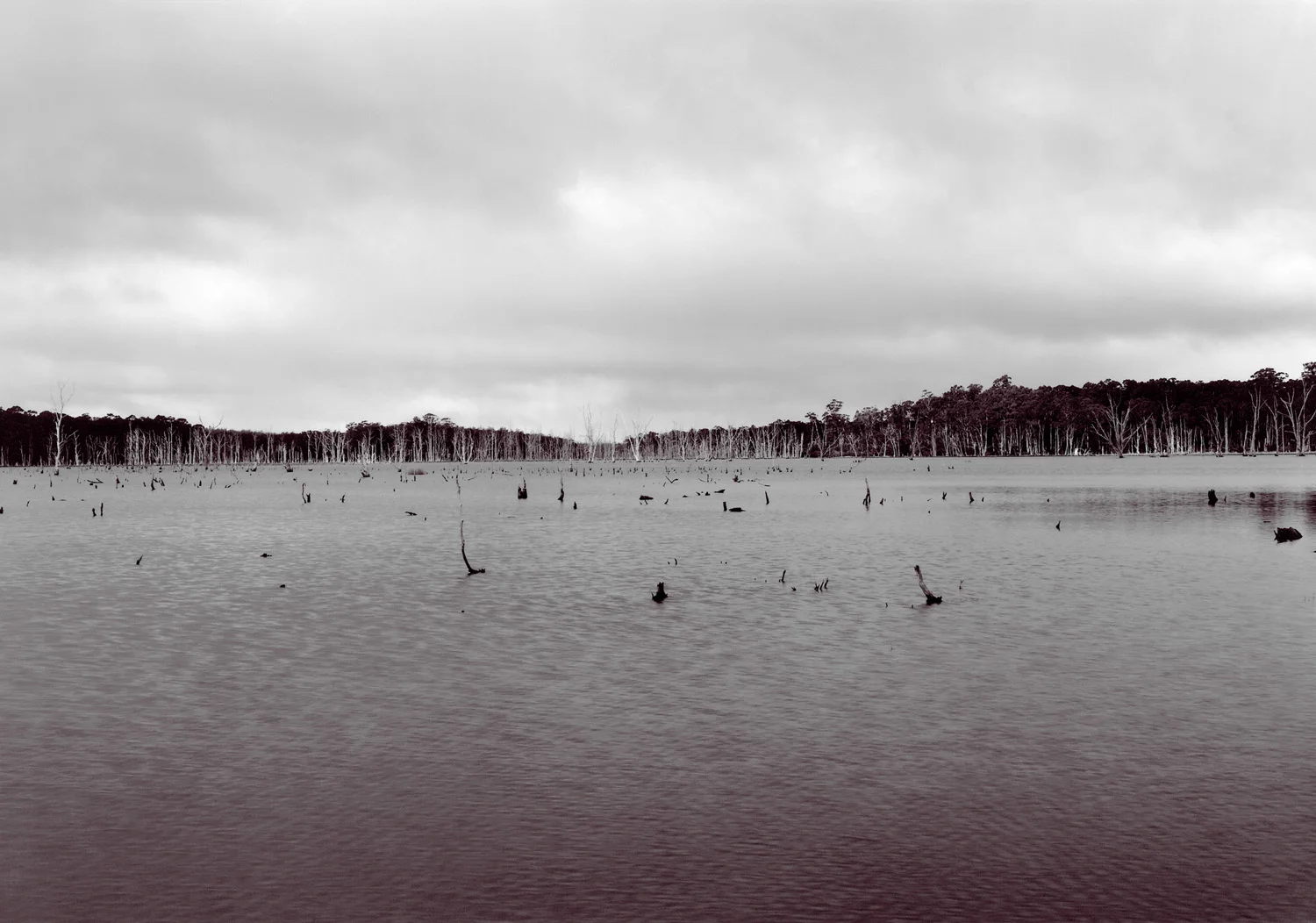     
 0 
 0 
 1 
 5 
 34 
 University of Tasmania 
 1 
 1 
 38 
 14.0 
  
  
 
       
 Normal 
 0 
 
 
 
 
 false 
 false 
 false 
 
 EN-US 
 JA 
 X-NONE 
 
  
  
  
  
  
  
  
  
  
 
 
  
  
  
  
  
  
  
  
  
  
  
       
 
 
 
 
 
 
 
 
 
 
