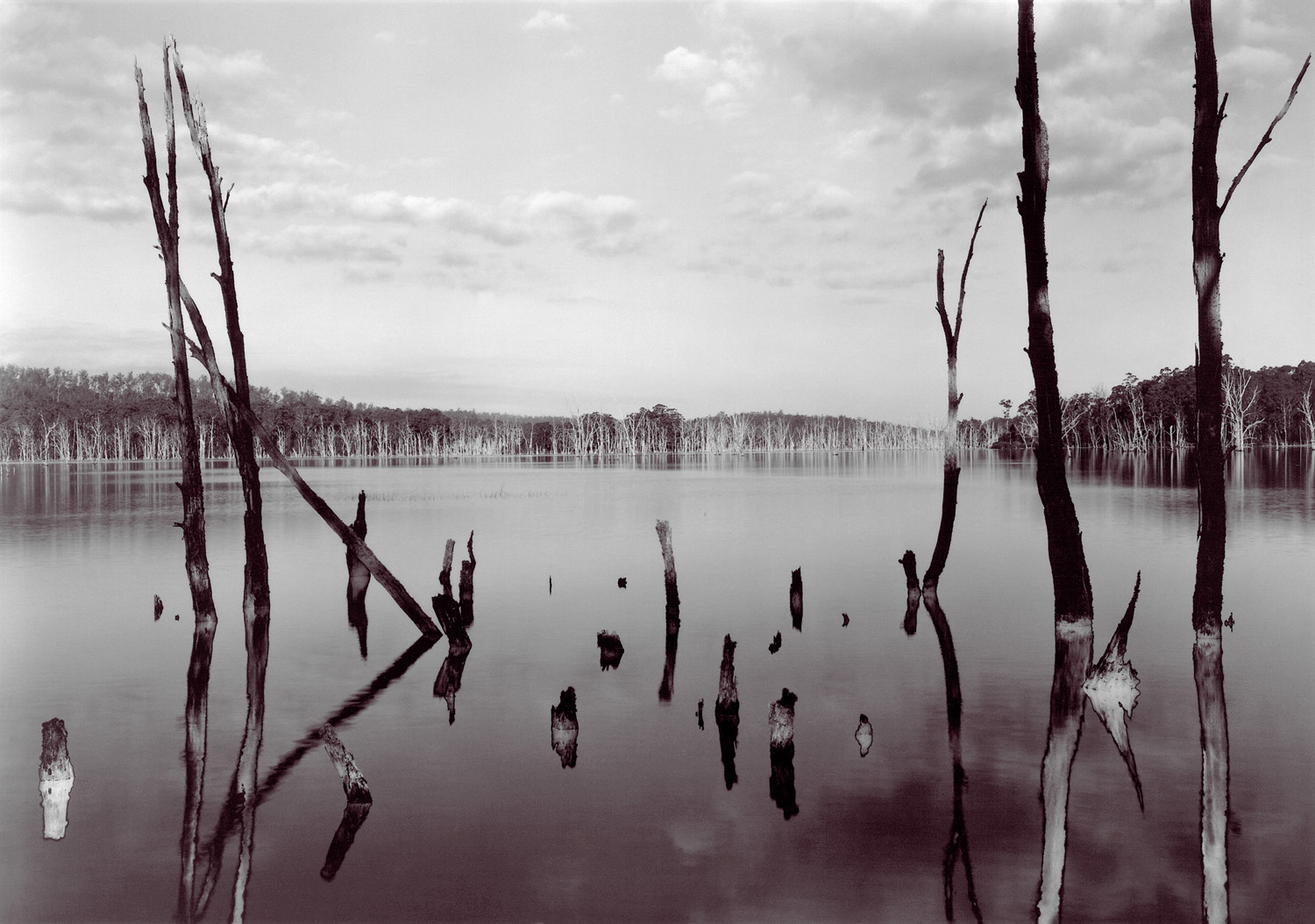     
 0 
 0 
 1 
 6 
 35 
 University of Tasmania 
 1 
 1 
 40 
 14.0 
  
  
 
       
 Normal 
 0 
 
 
 
 
 false 
 false 
 false 
 
 EN-US 
 JA 
 X-NONE 
 
  
  
  
  
  
  
  
  
  
 
 
  
  
  
  
  
  
  
  
  
  
  
       
 
 
 
 
 
 
 
 
 
 
