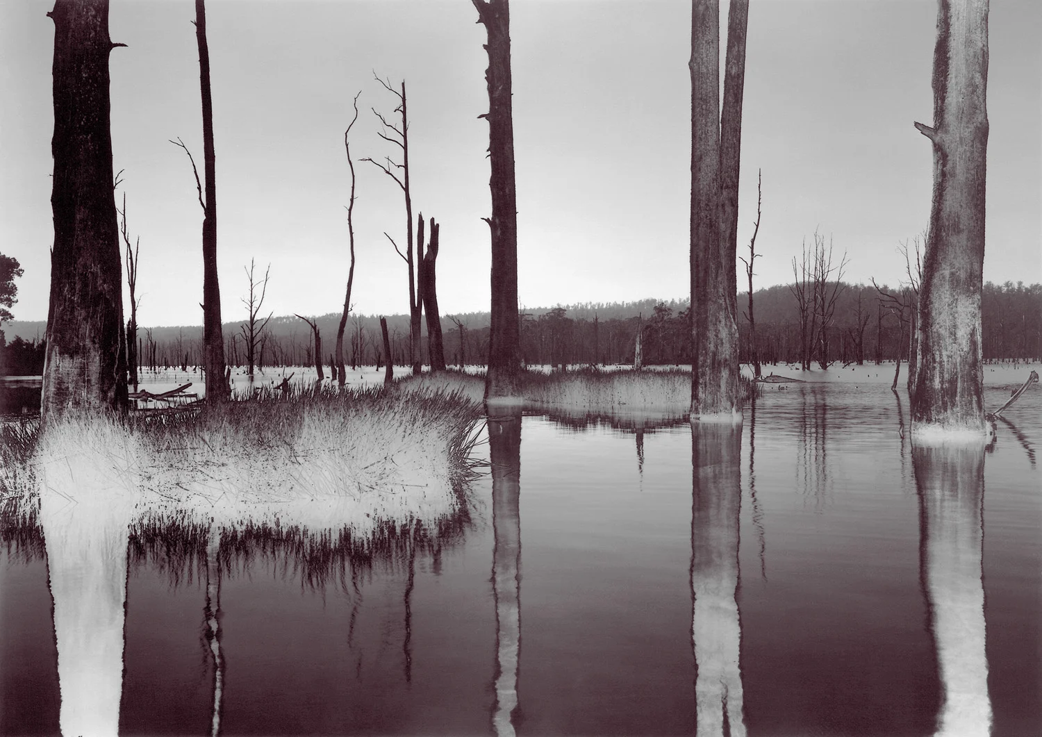     
 0 
 0 
 1 
 6 
 35 
 University of Tasmania 
 1 
 1 
 40 
 14.0 
  
  
 
       
 Normal 
 0 
 
 
 
 
 false 
 false 
 false 
 
 EN-US 
 JA 
 X-NONE 
 
  
  
  
  
  
  
  
  
  
 
 
  
  
  
  
  
  
  
  
  
  
  
       
 
 
 
 
 
 
 
 
 
 
