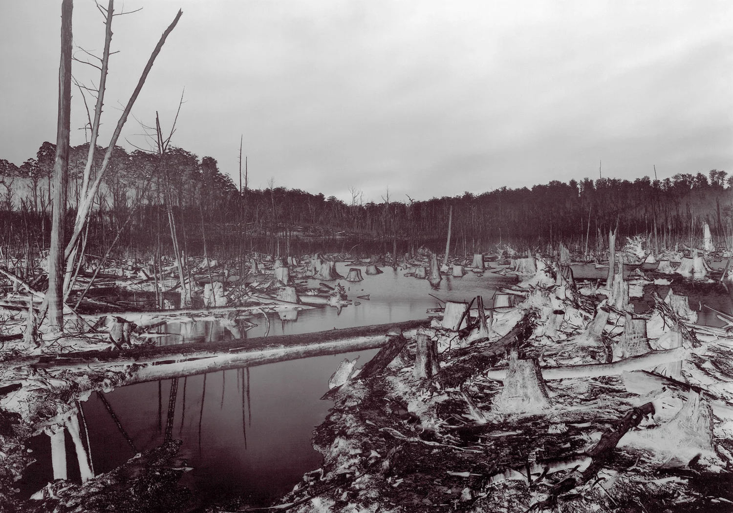     
 0 
 0 
 1 
 6 
 36 
 University of Tasmania 
 1 
 1 
 41 
 14.0 
  
  
 
       
 Normal 
 0 
 
 
 
 
 false 
 false 
 false 
 
 EN-US 
 JA 
 X-NONE 
 
  
  
  
  
  
  
  
  
  
 
 
  
  
  
  
  
  
  
  
  
  
  
       
 
 
 
 
 
 
 
 
 
 
