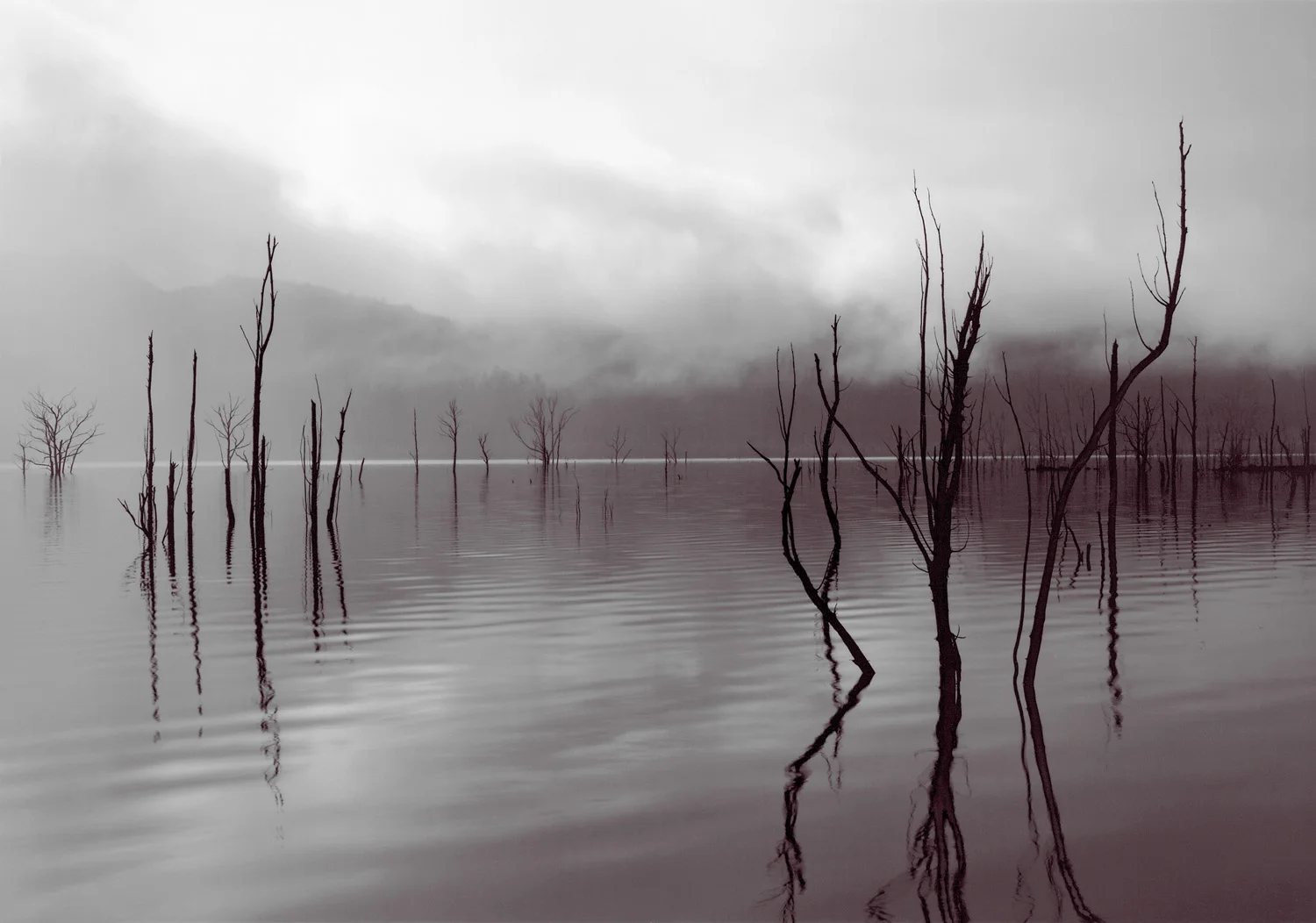     
 0 
 0 
 1 
 6 
 35 
 University of Tasmania 
 1 
 1 
 40 
 14.0 
  
  
 
       
 Normal 
 0 
 
 
 
 
 false 
 false 
 false 
 
 EN-US 
 JA 
 X-NONE 
 
  
  
  
  
  
  
  
  
  
 
 
  
  
  
  
  
  
  
  
  
  
  
       
 
 
 
 
 
 
 
 
 
 
