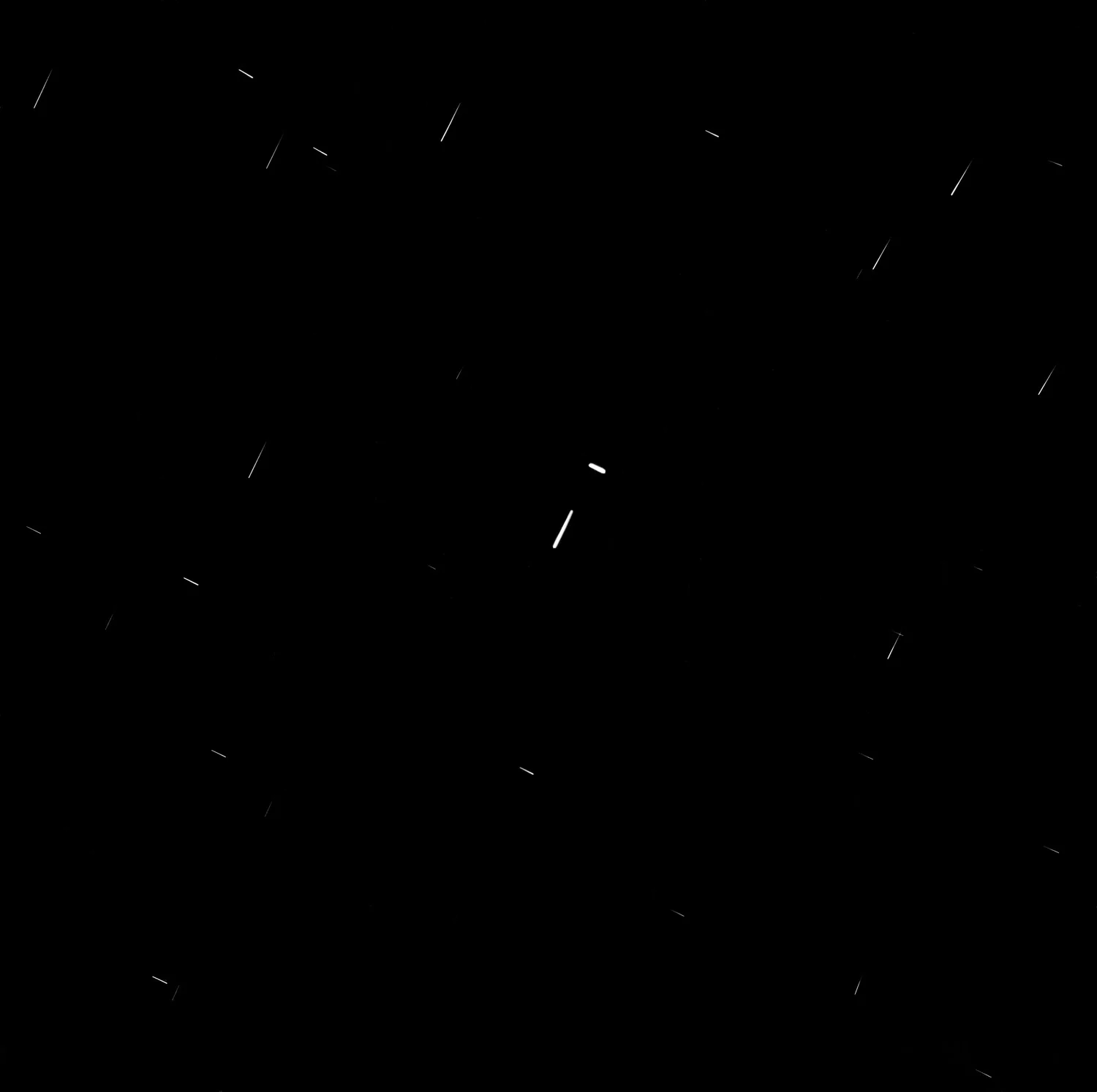  Star Drawing 1995/1008 