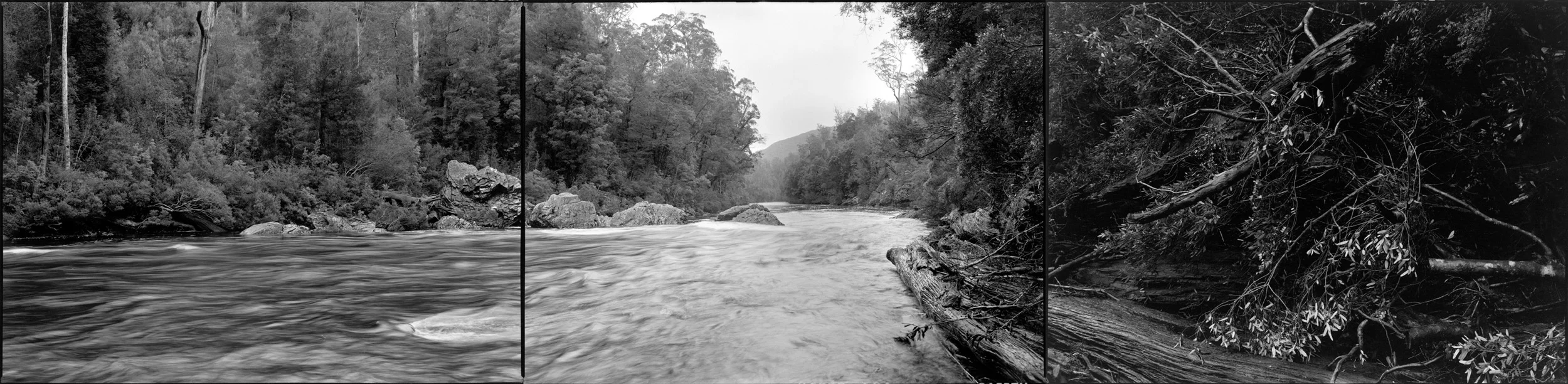  Murchison River prior to drowning, Tasmania, 1982 