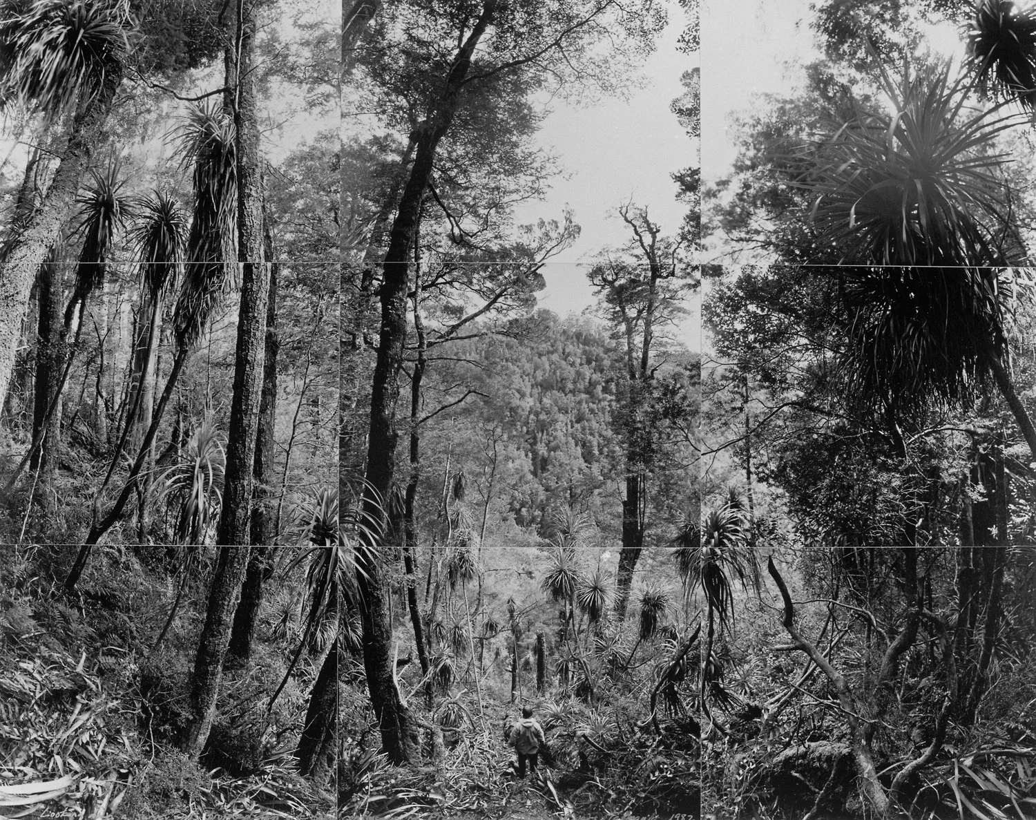  Self portrait looking down survey cut, proposed Gordon below Franklin Dam, Tasmania, 1983 