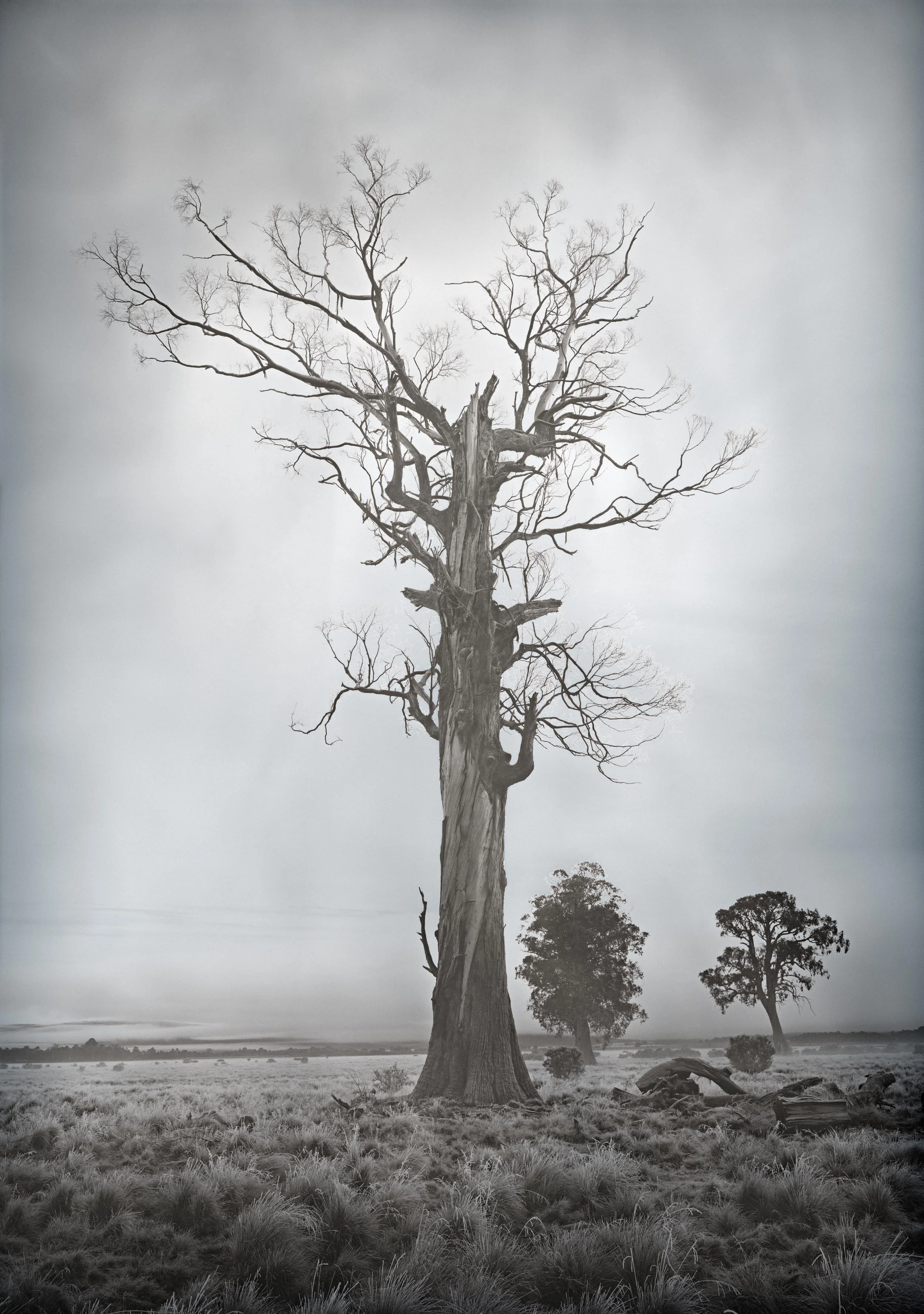  2021/69 Bronte Lagoon, archival pigment print, 101.6 x 76.2cm 