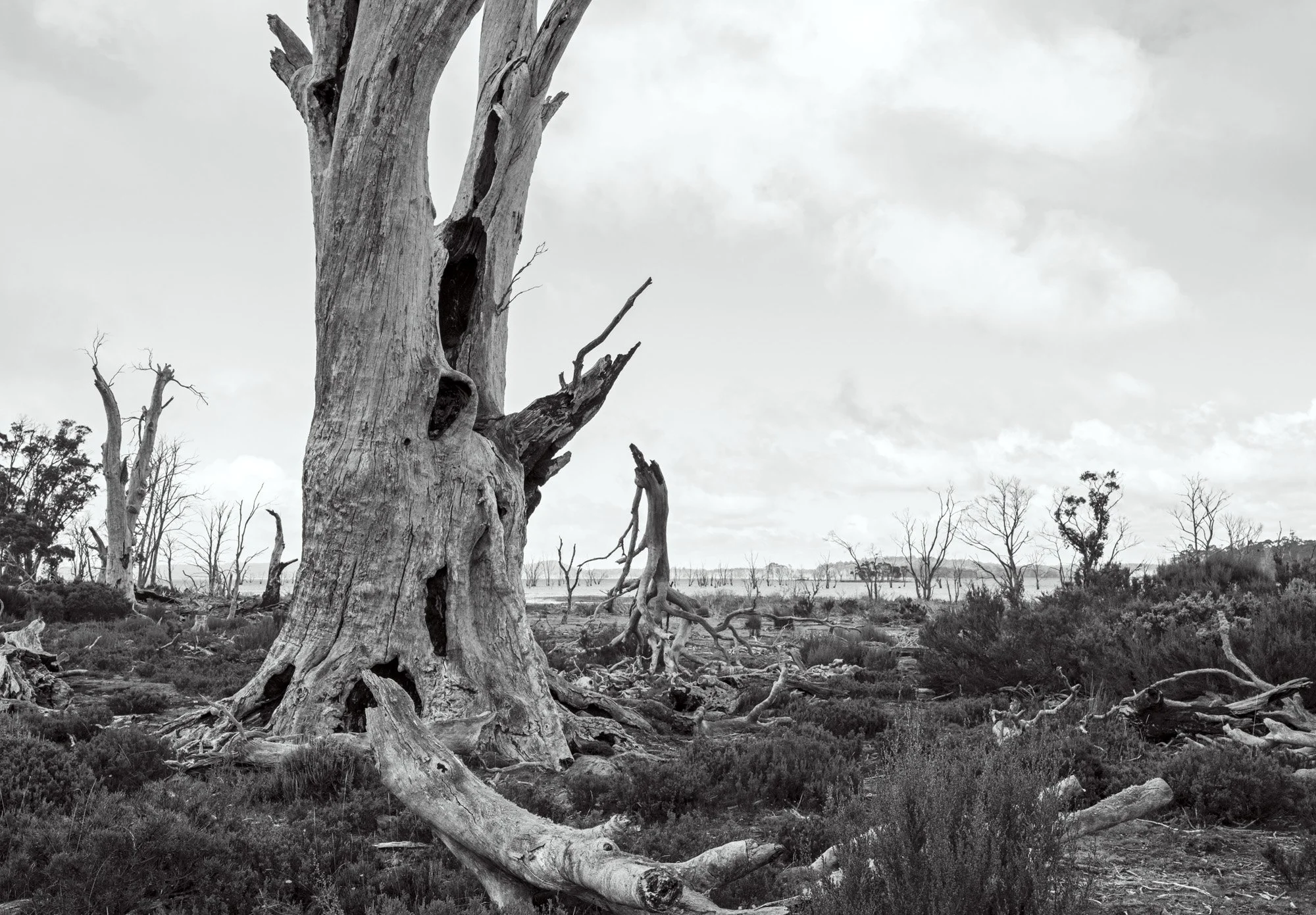  Arthurs Lake 1, 2024, pigment ink print, 76.2 cm x 101.6 cm 