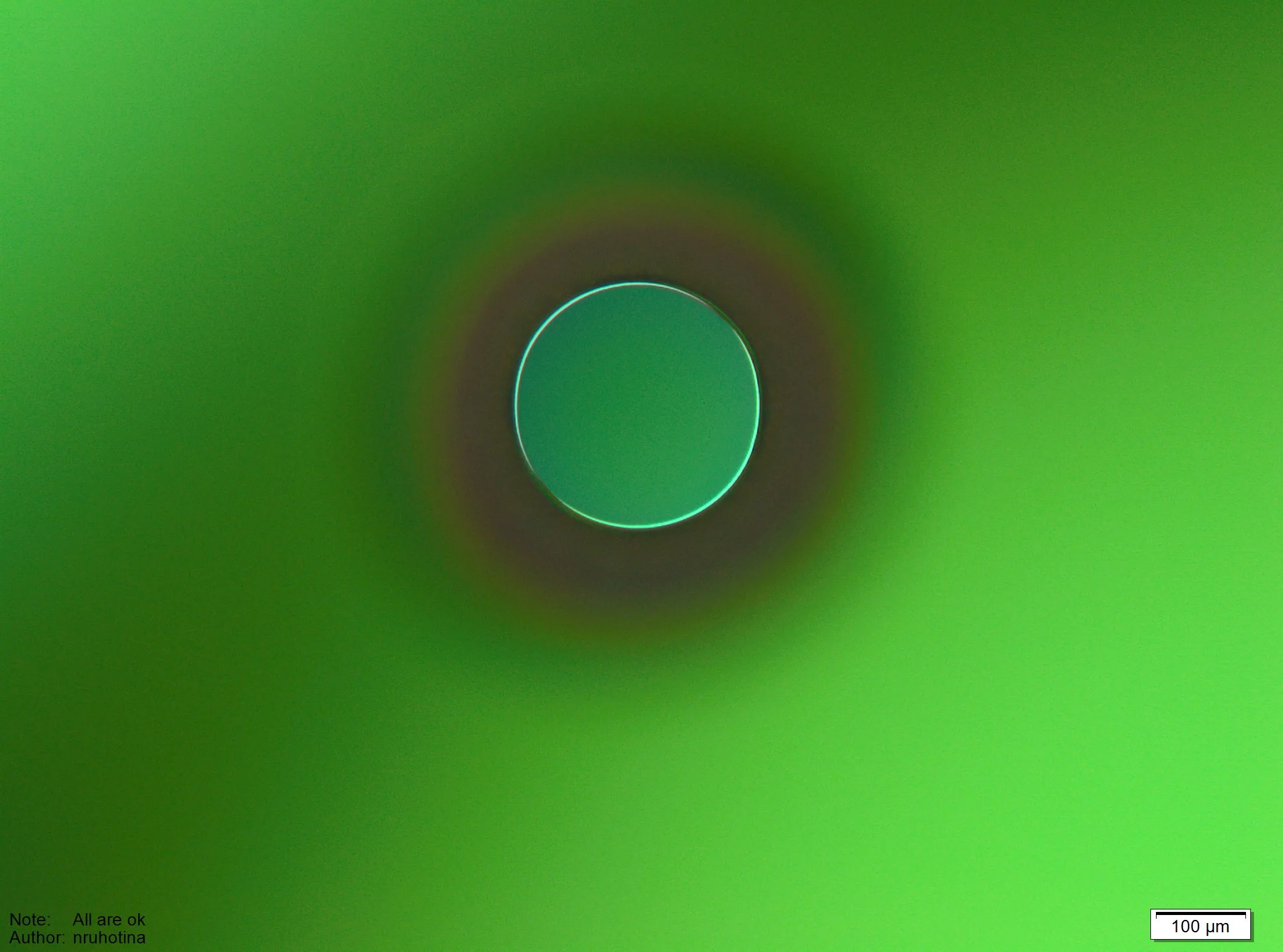File11.jpg