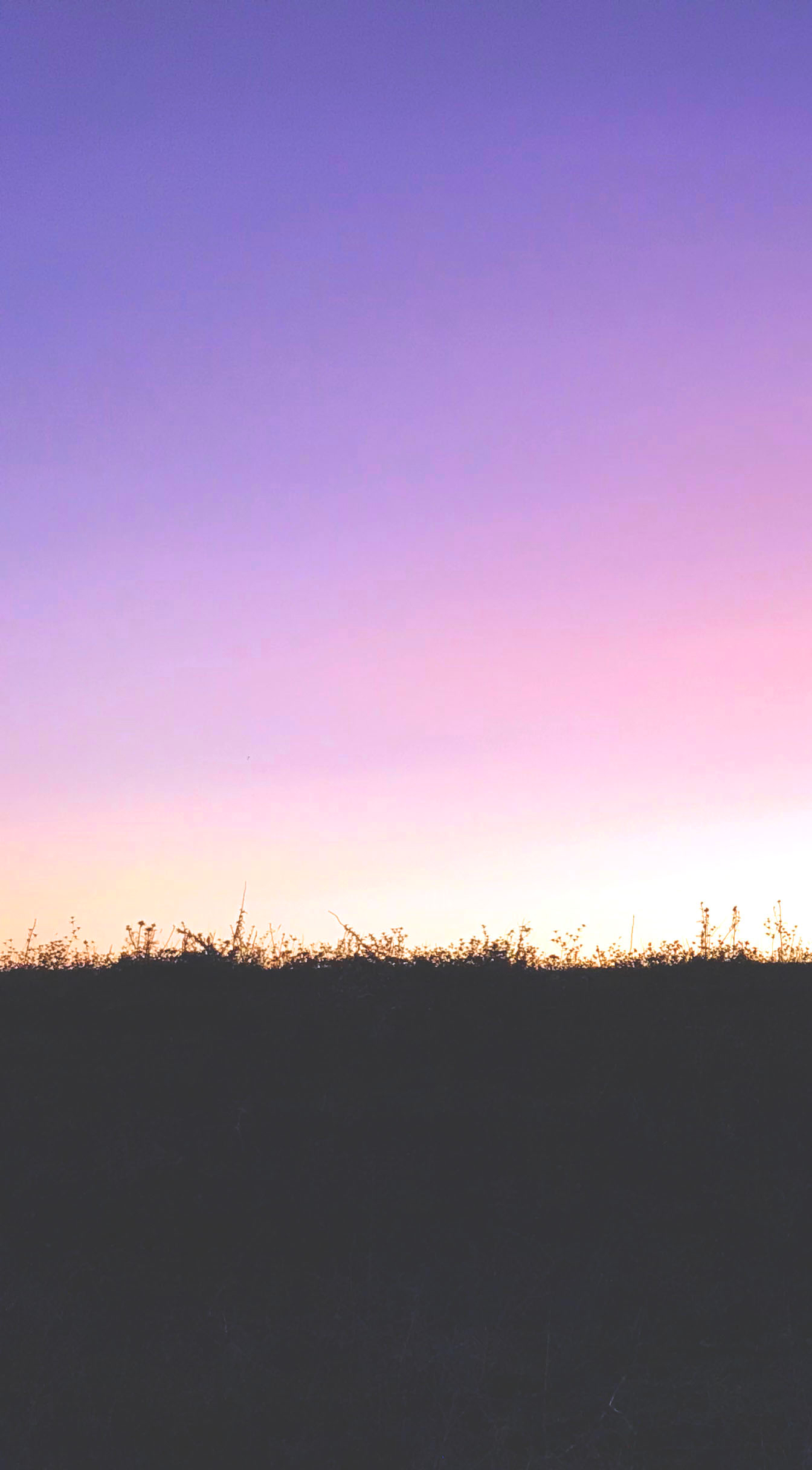 Sunset (Left).jpg