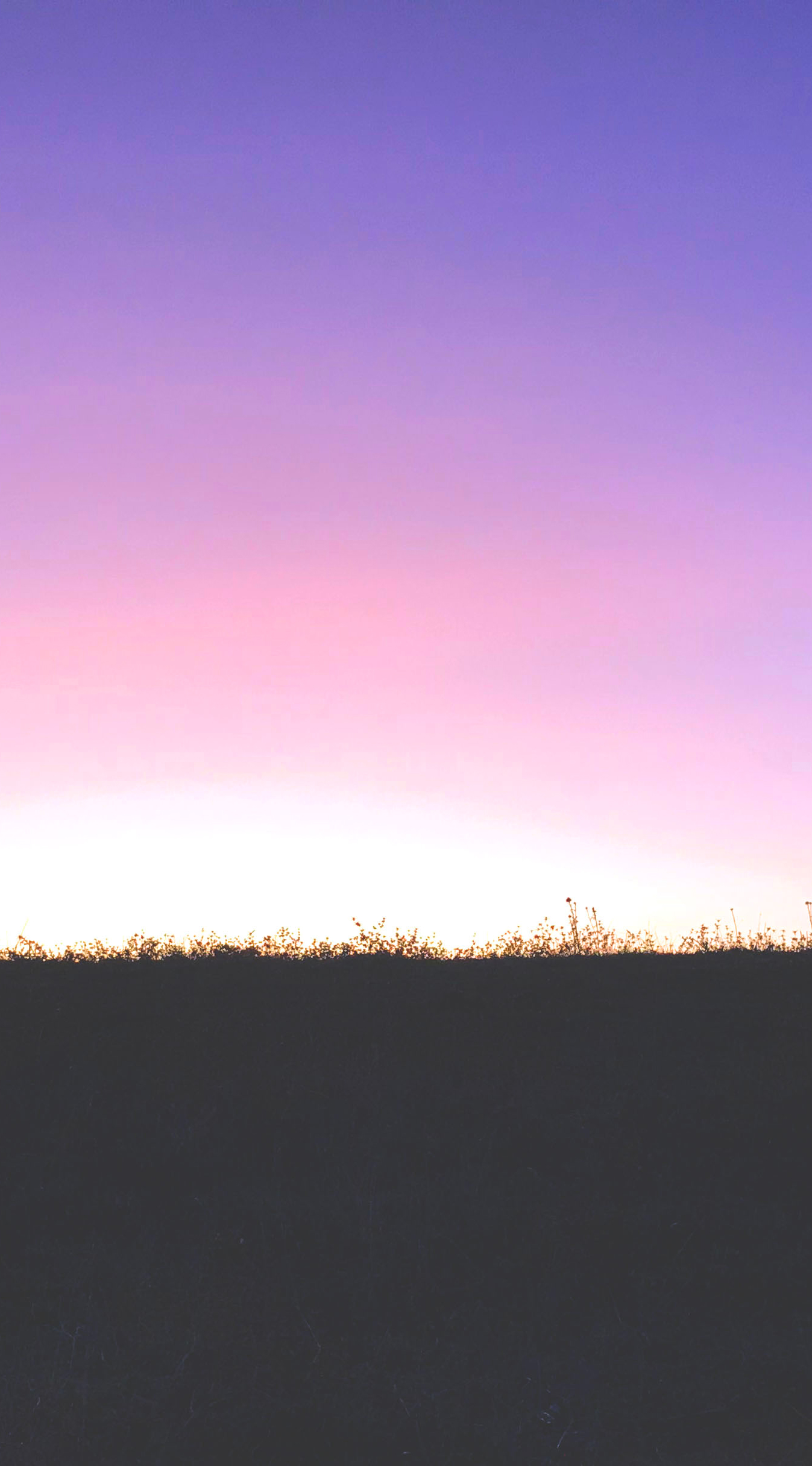 Sunset (Center).jpg