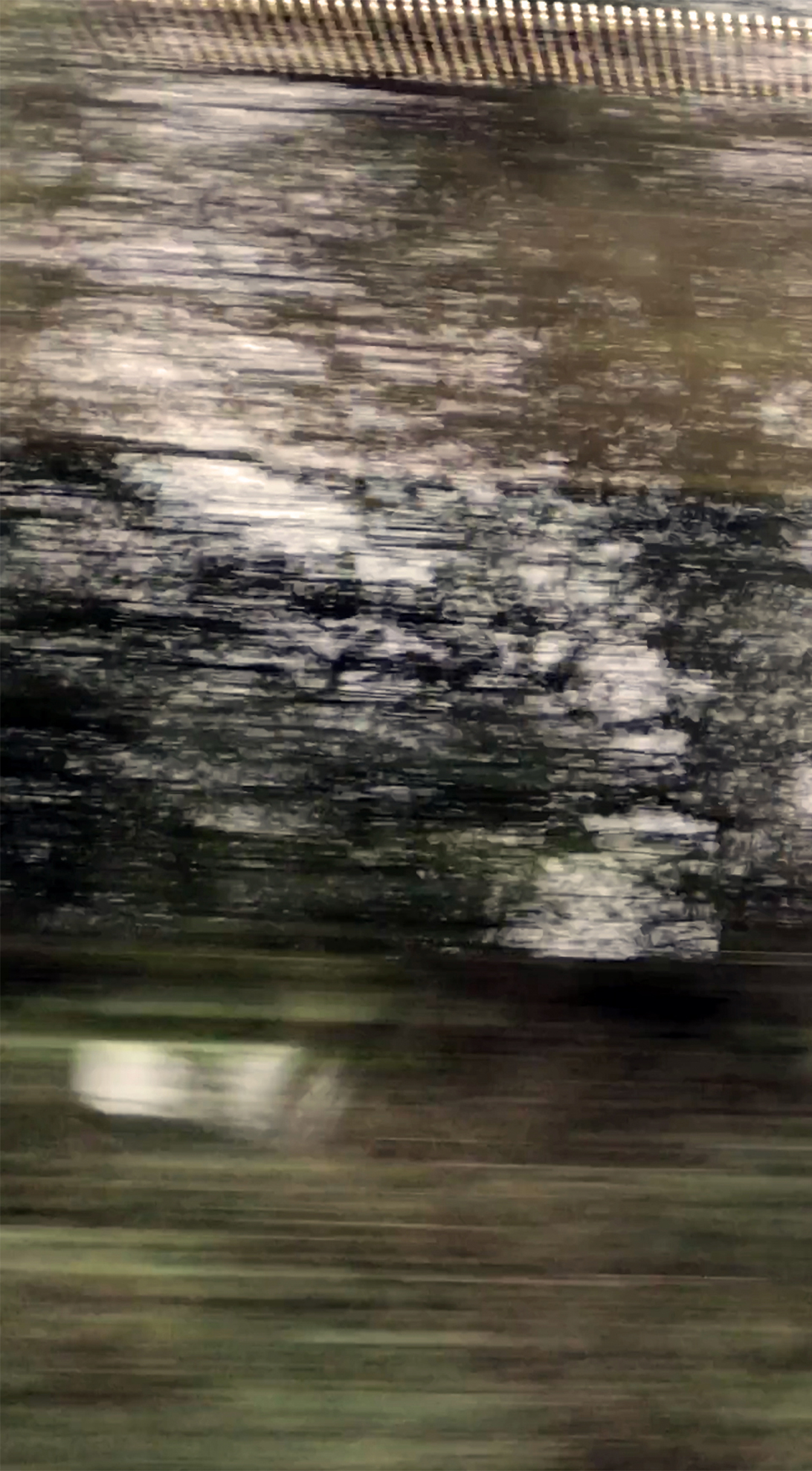 Train (Left).jpg