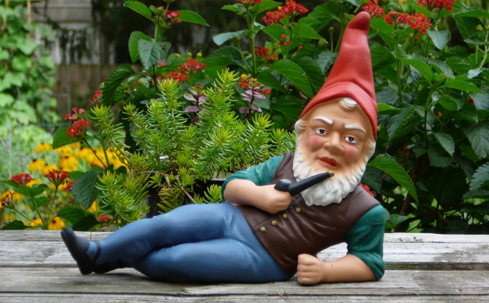 There's, uh... not a lot of terribly dignified art of gnomes. Remind me to post the story of Gnomesgiving someday.