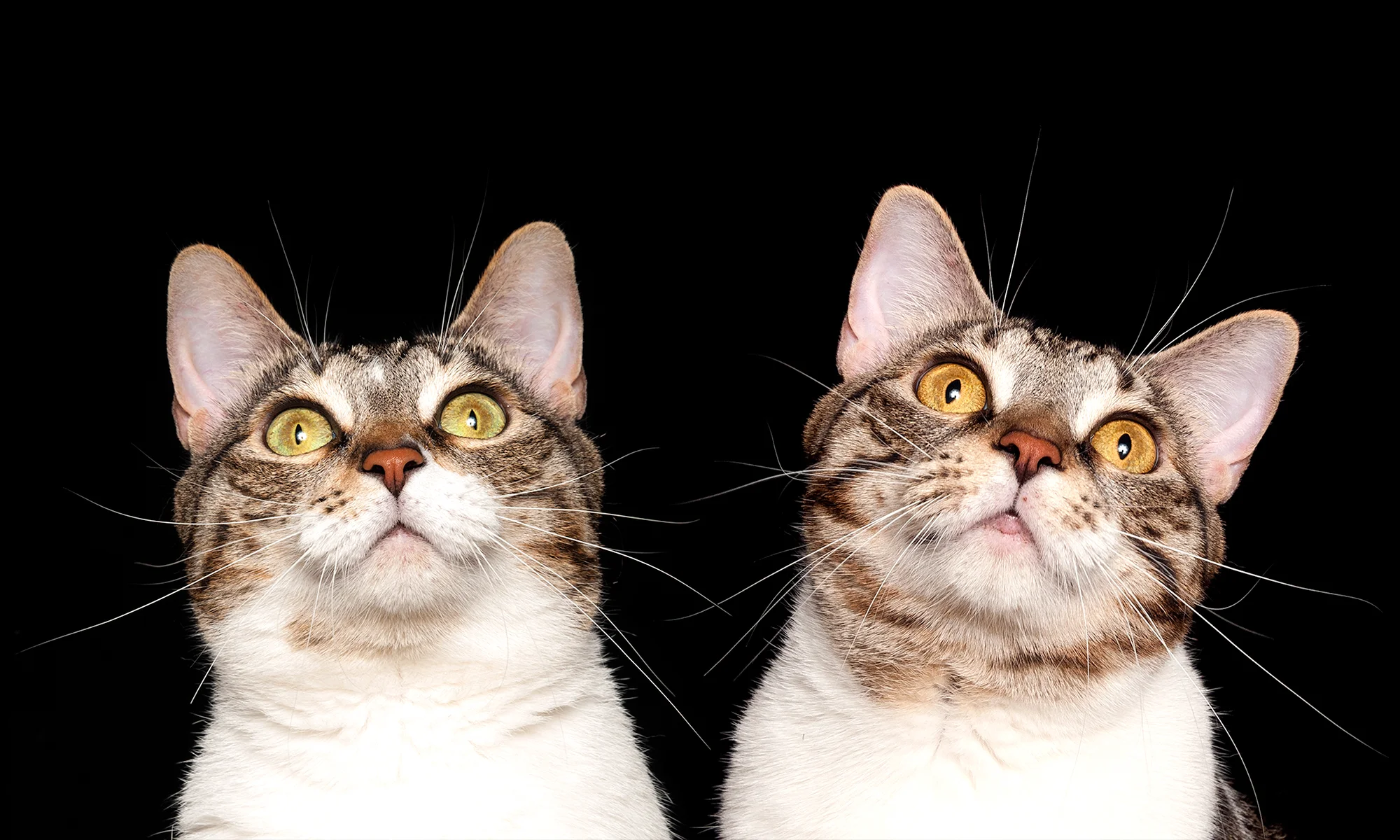 MinAndGry_8x10-Edit-Edit.jpg