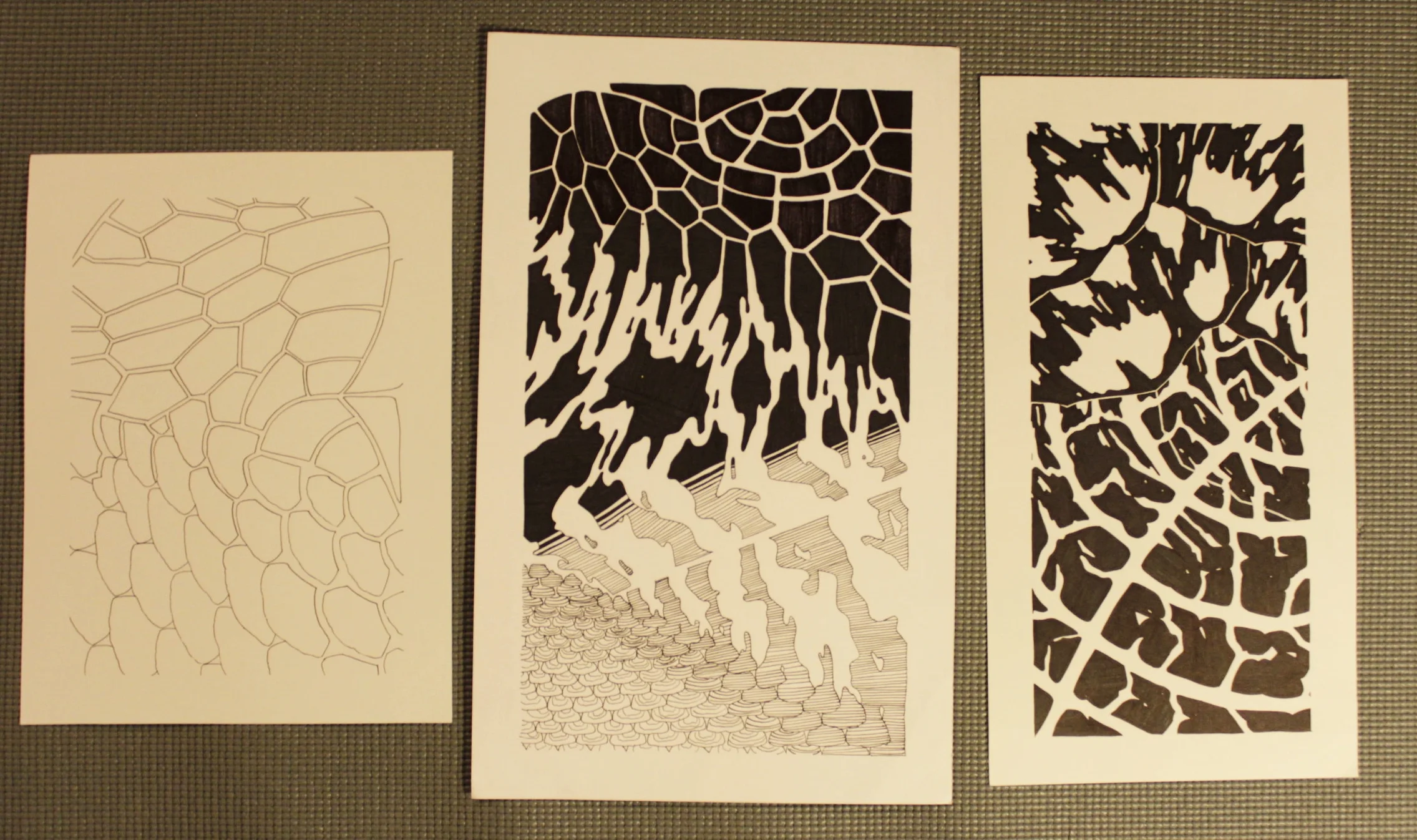 Patterns in Nature Drawings
