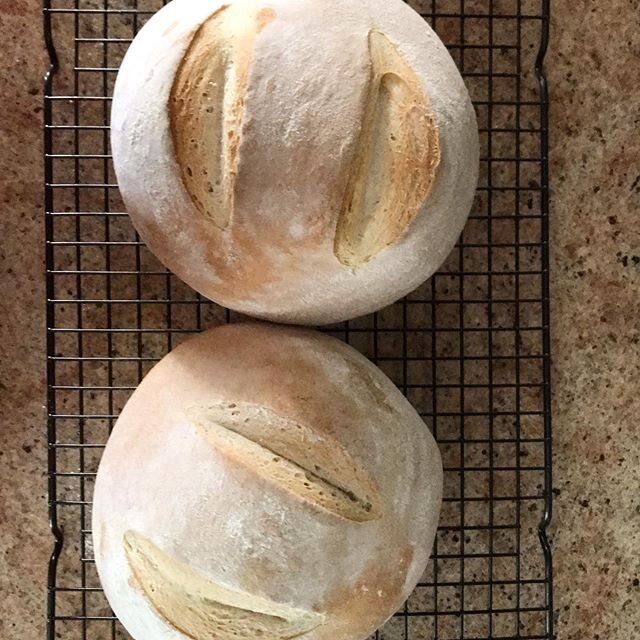 My first bread from my sourdough starter!