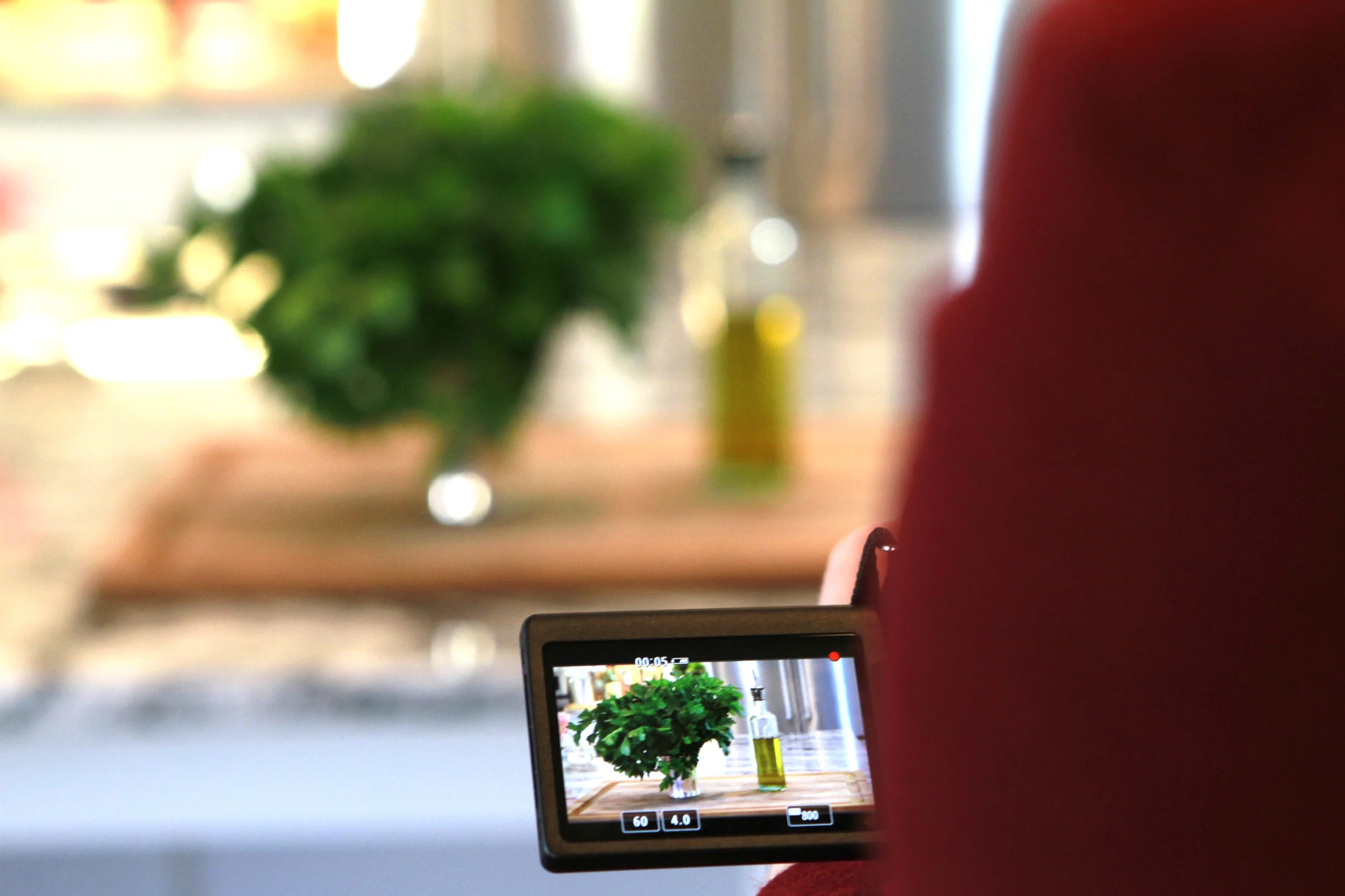 Lights, Camera, Action! 
