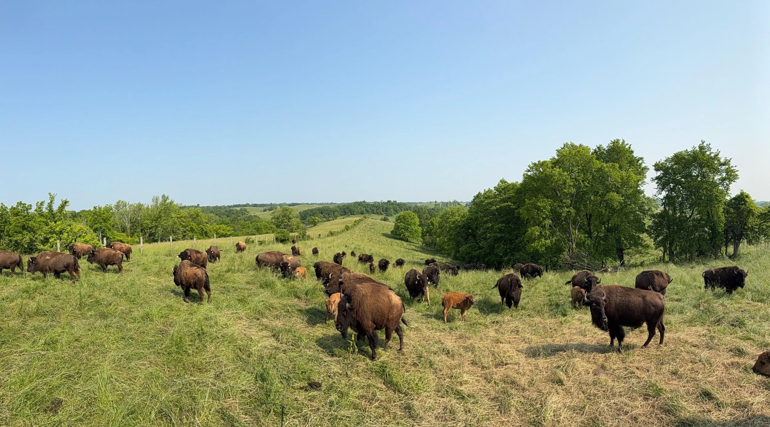 The Wild Side of Farming